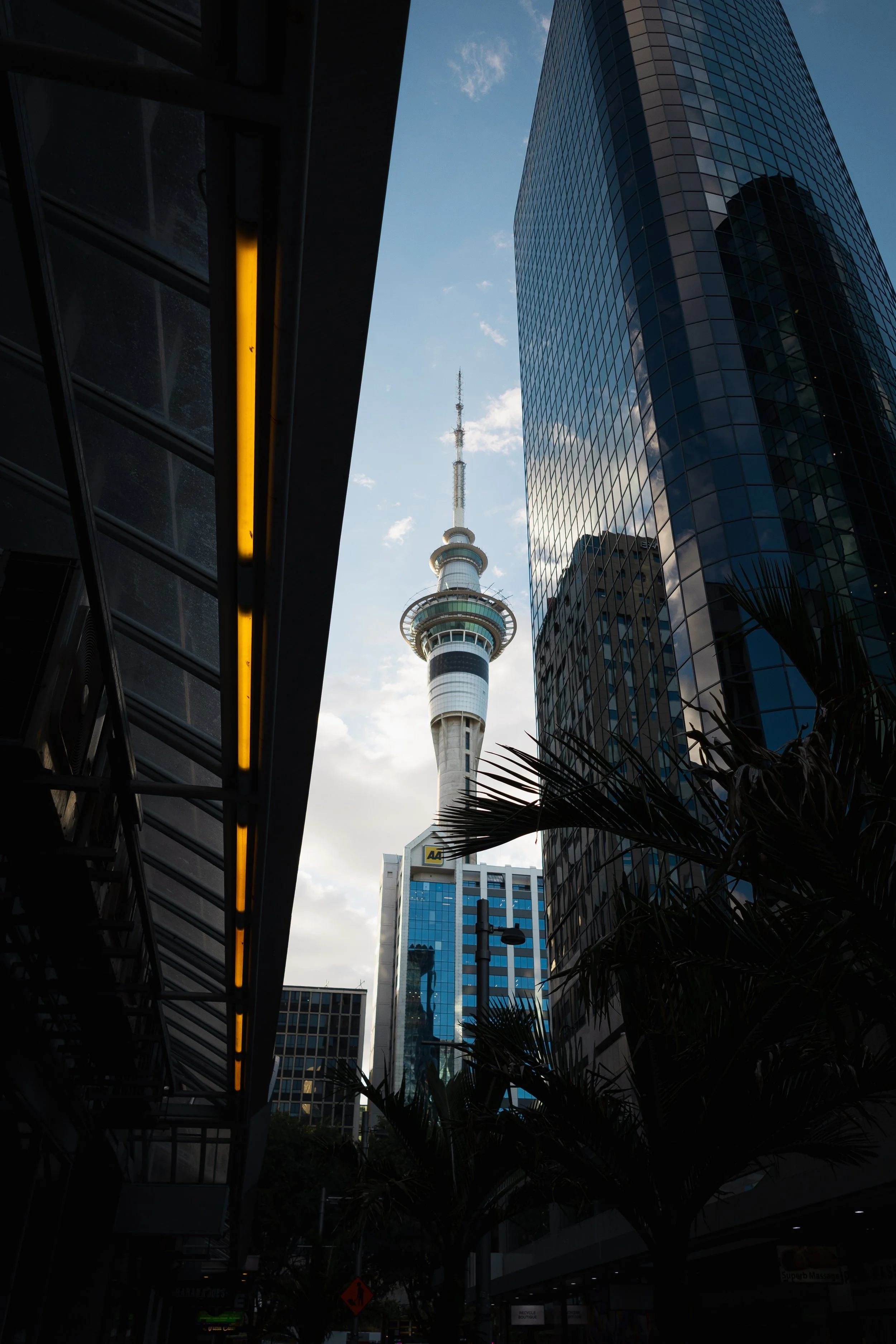 New Zealand Day 3-10.jpg