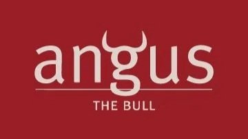 Logo for Angus, a brand associated with beef, featuring a red background with white text and a bull's horn in the letter 'g'.