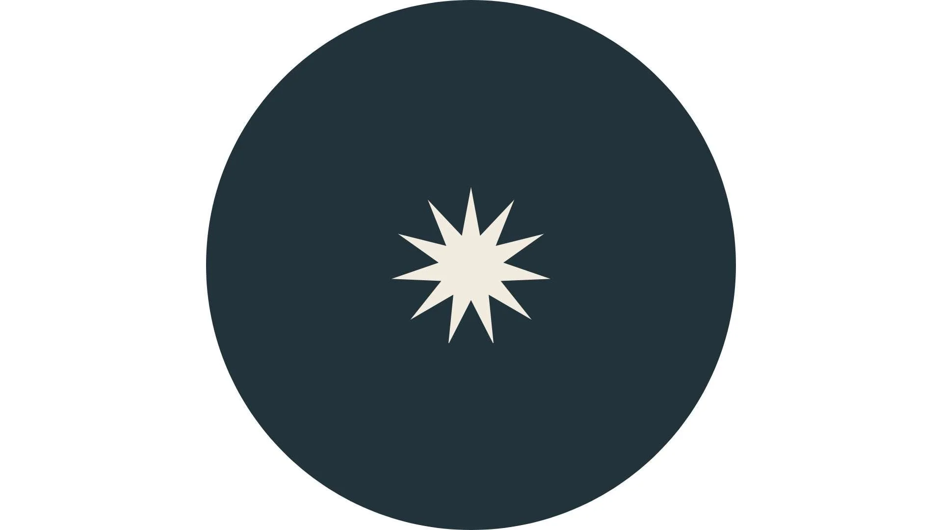 A circular graphic with a dark background and a white starburst in the center.