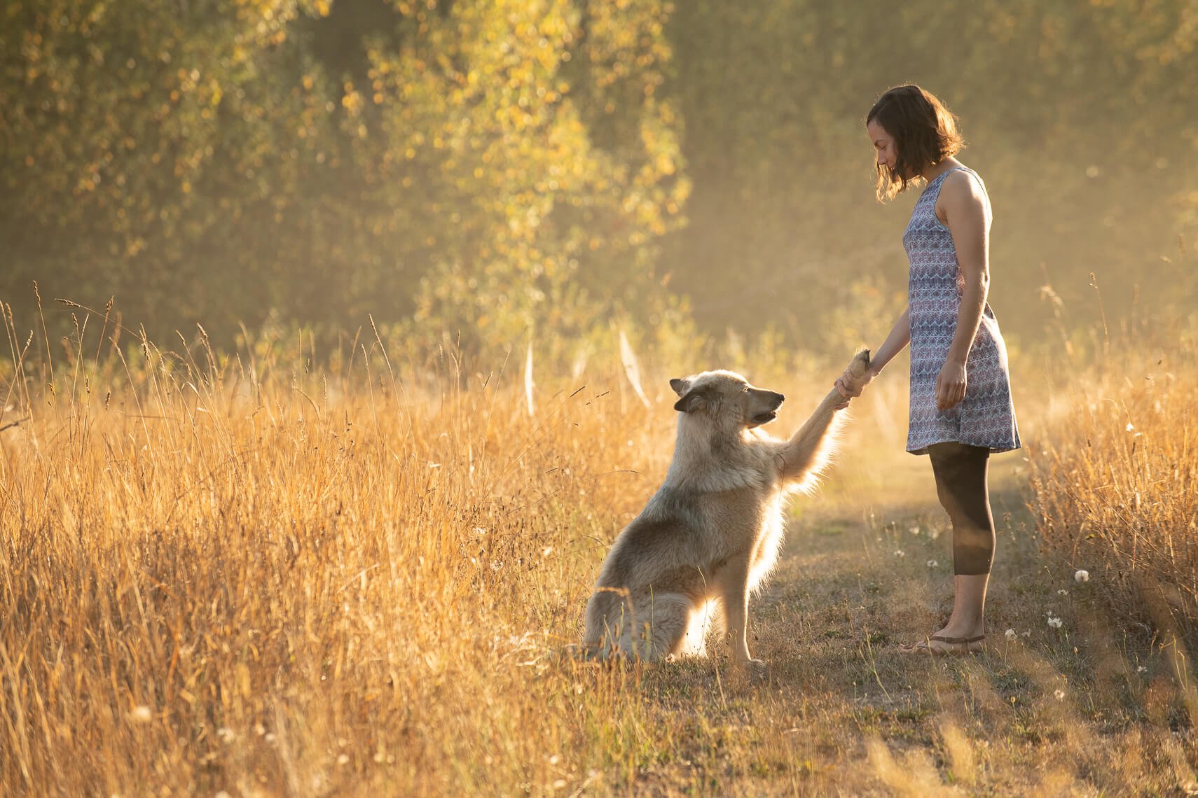 Canine Initial + Retest HTMA package