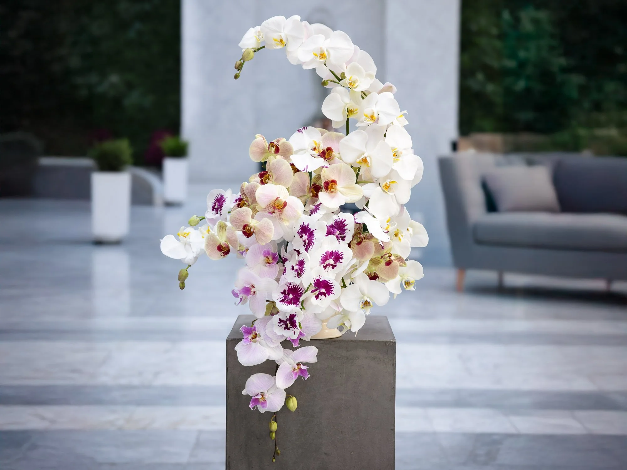 Urban Botanica_SF-4 V2 Widened.jpg