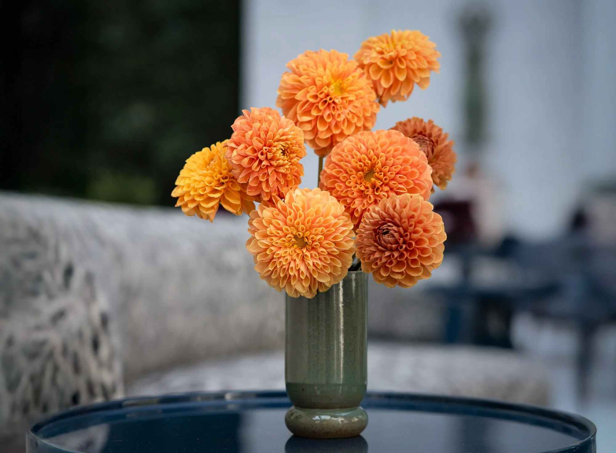 Urban Botanica_SF_9 Widened.jpg