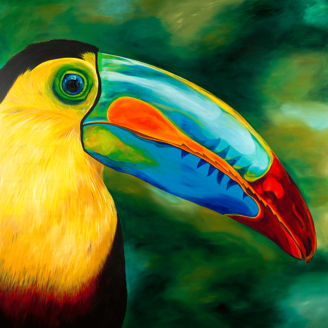 Toucan 20X20