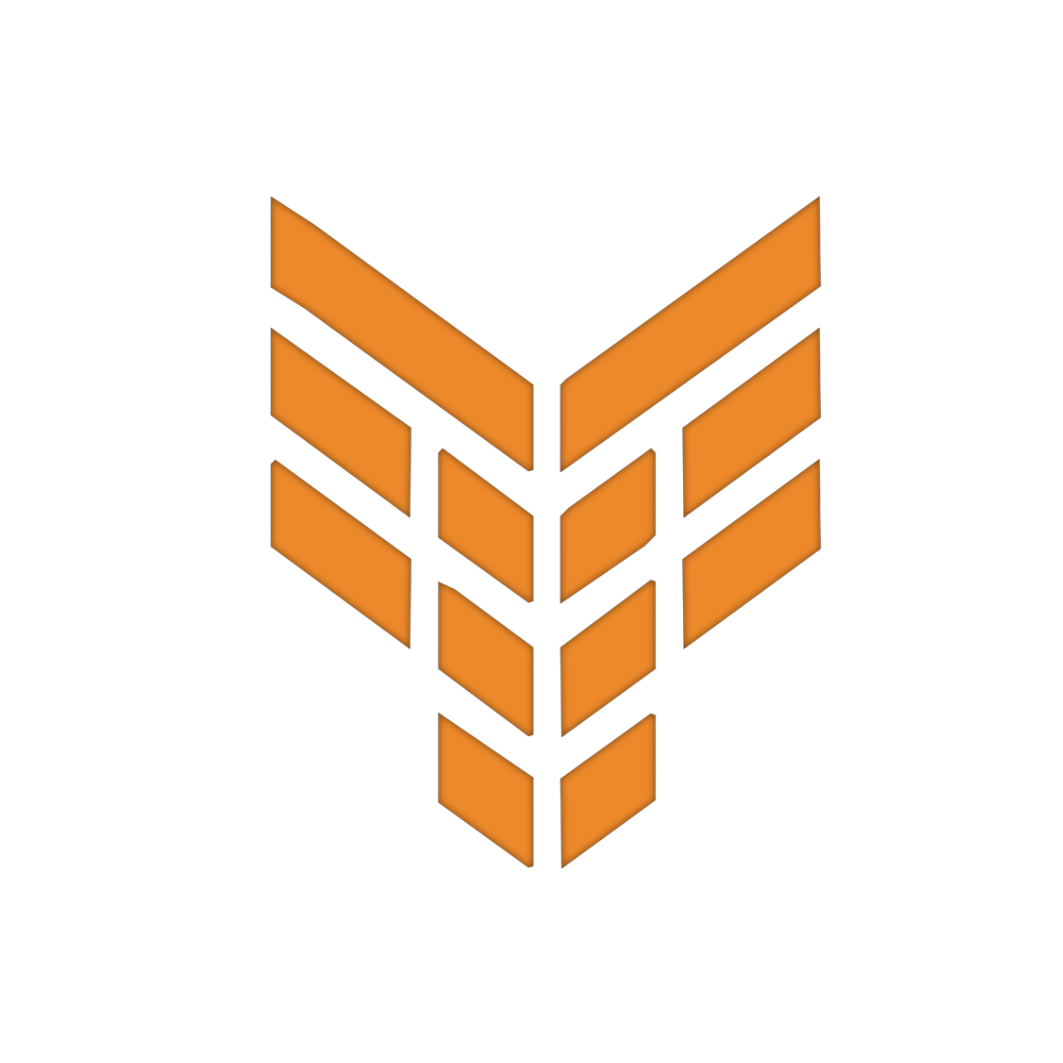 FIREBORN SOLUTIONS