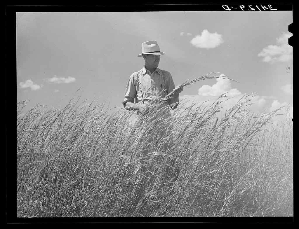 THE TIES THAT BIND—

A strand of binder twine connects the henequen plantations of Yucatán to the wheat fields of southeastern Colorado and the Dust Bowl. This project follows that unlikely commodity chain to explore how mechanized agriculture, globa