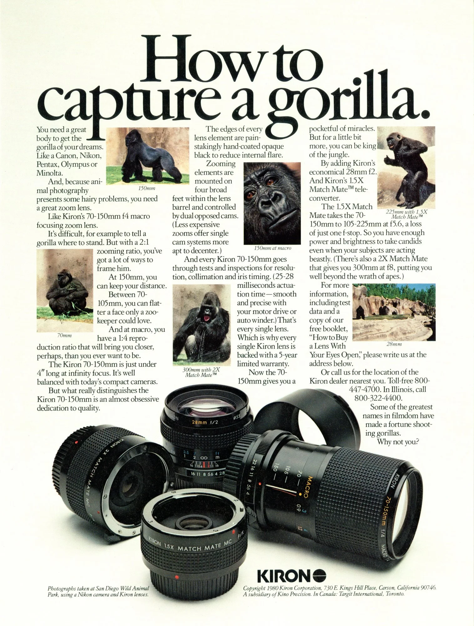 Kiron_howToCaptureAGorilla.jpeg