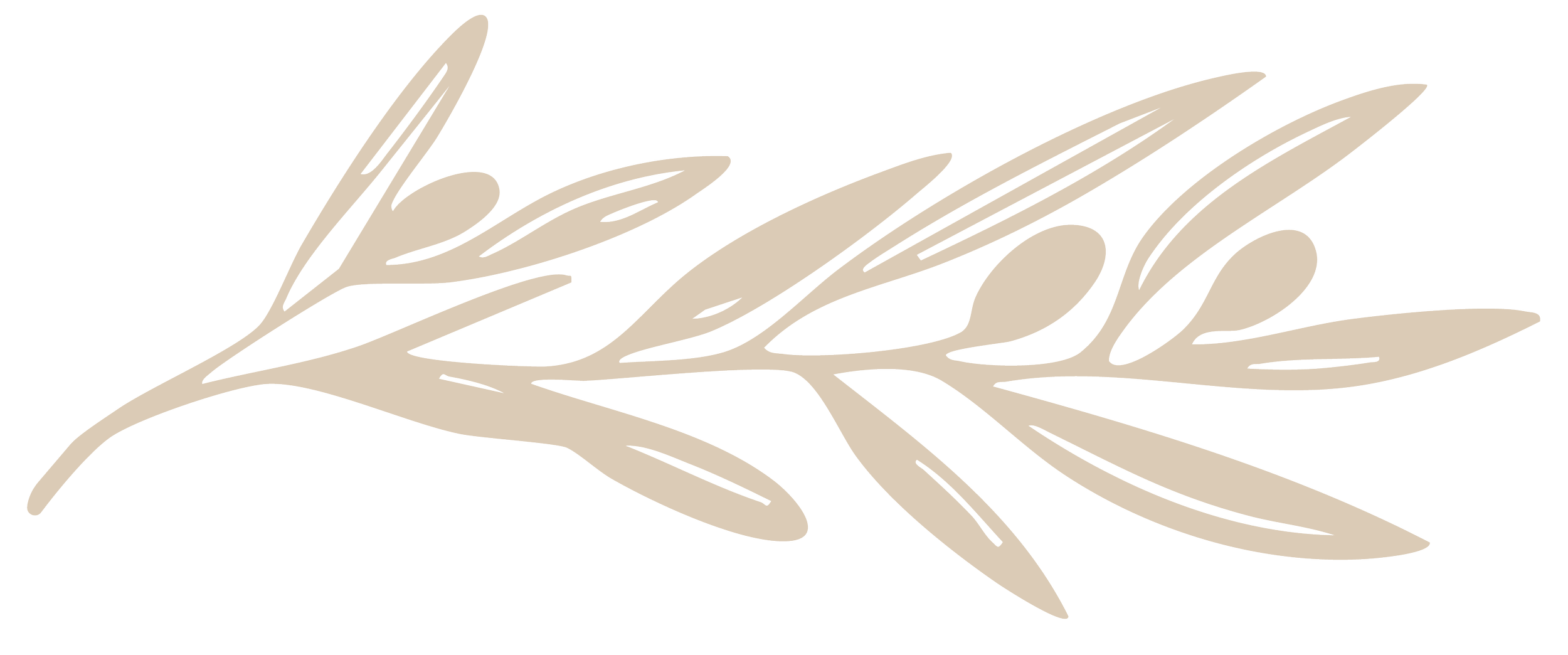 Olive Tree Restaurant Lithia Springs GA olive-tree-restaurant-lithia-springs-ga