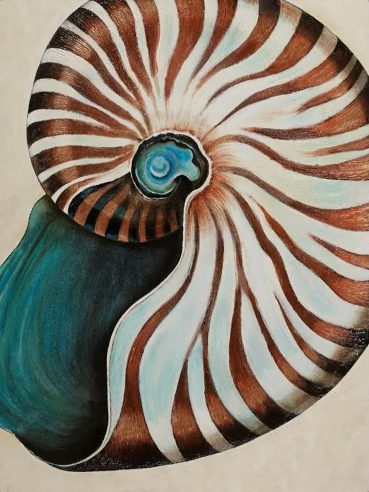 𝕄𝕆𝕆𝔻 | The hypnotic spiral of a Nautilus Shell. Spirals draw us in effortlessly&mdash;our eyes tracing their curves inward and outward in a continuous flow. There&rsquo;s something mesmerizing and almost meditative about their rhythm. Across anci