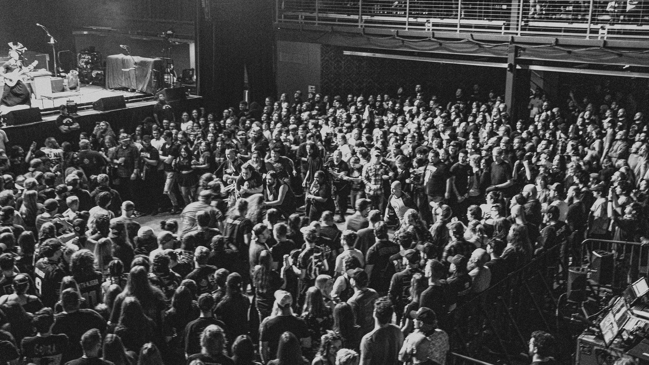 Honey Revenge Web-7.jpg