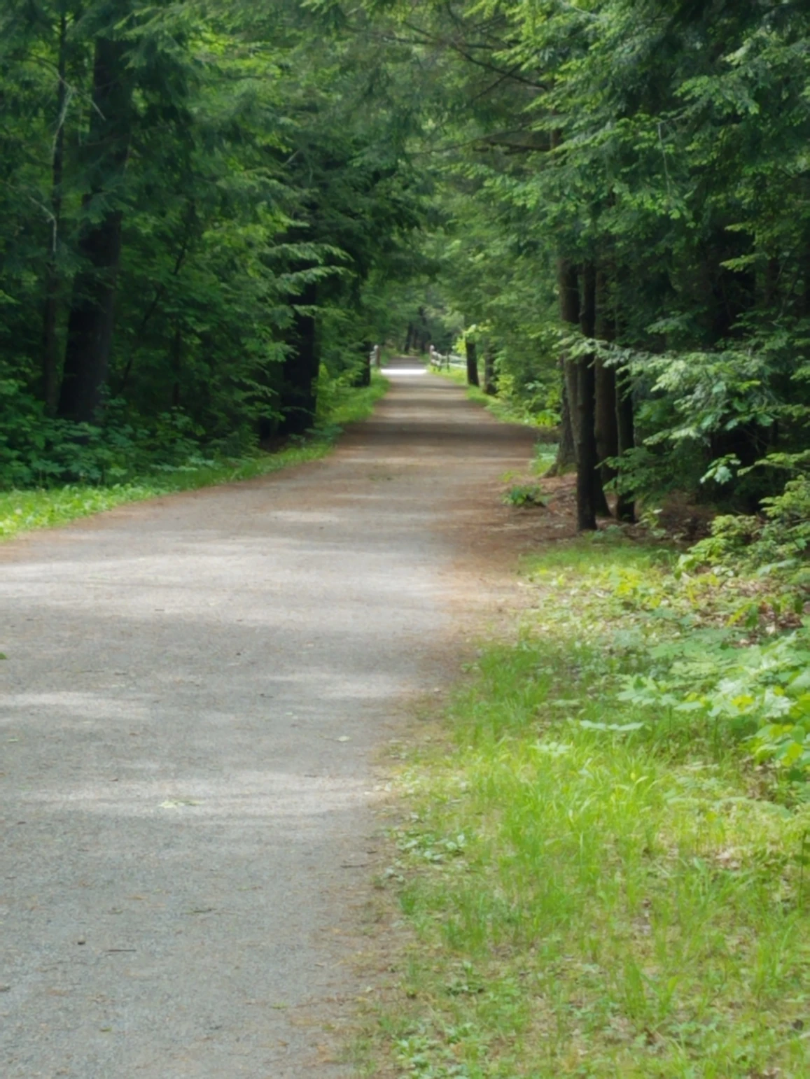 View of Life