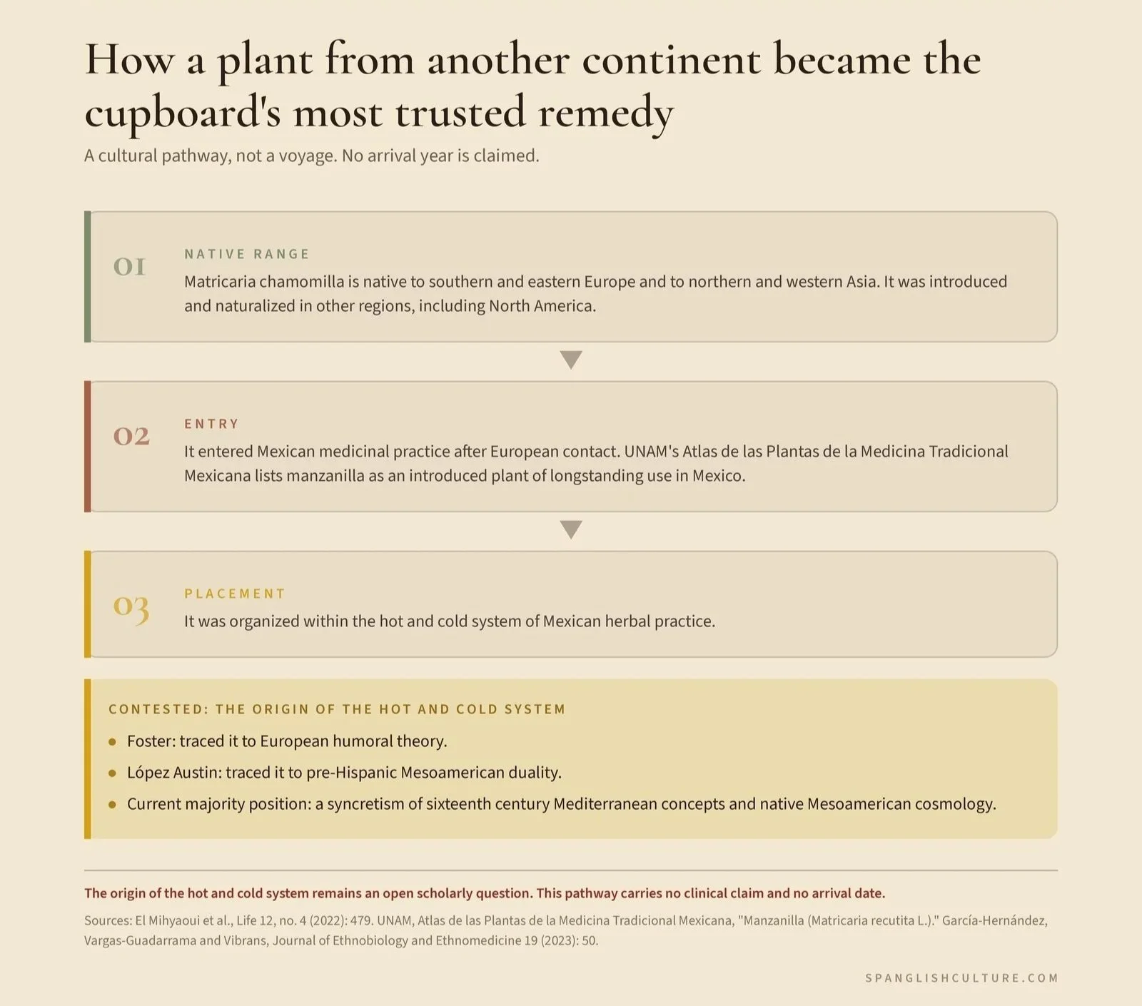 A three step cultural pathway diagram. Step one gives chamomile's native range in Europe and Asia. Step two states that it entered Mexican medicinal practice after