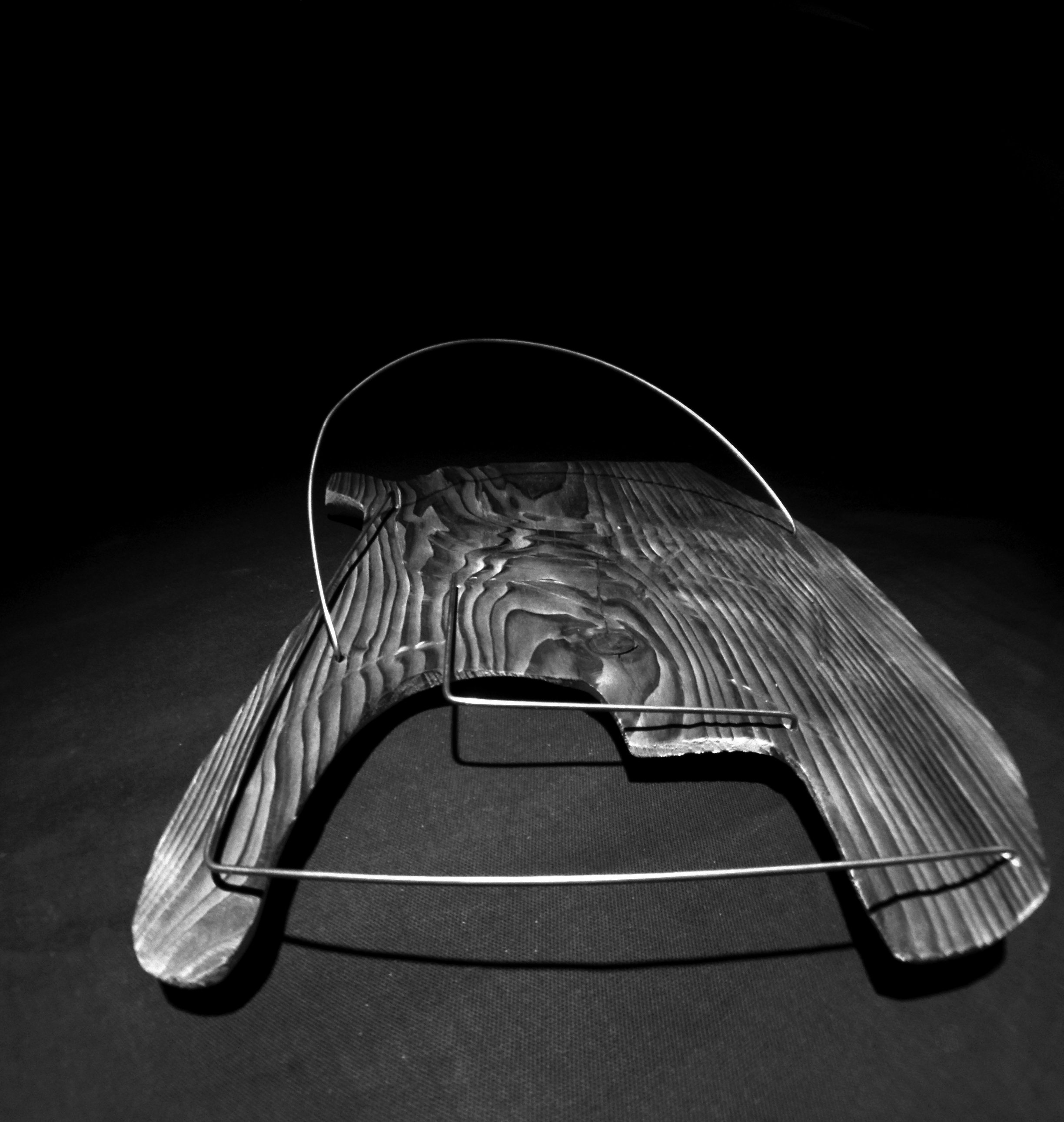 SP15_process model BLW.jpg