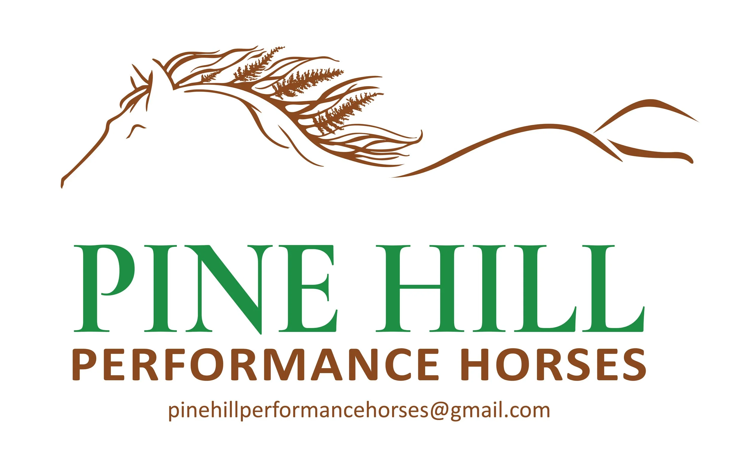 Pine Hill Performance Horses_Logo Design-01.jpg