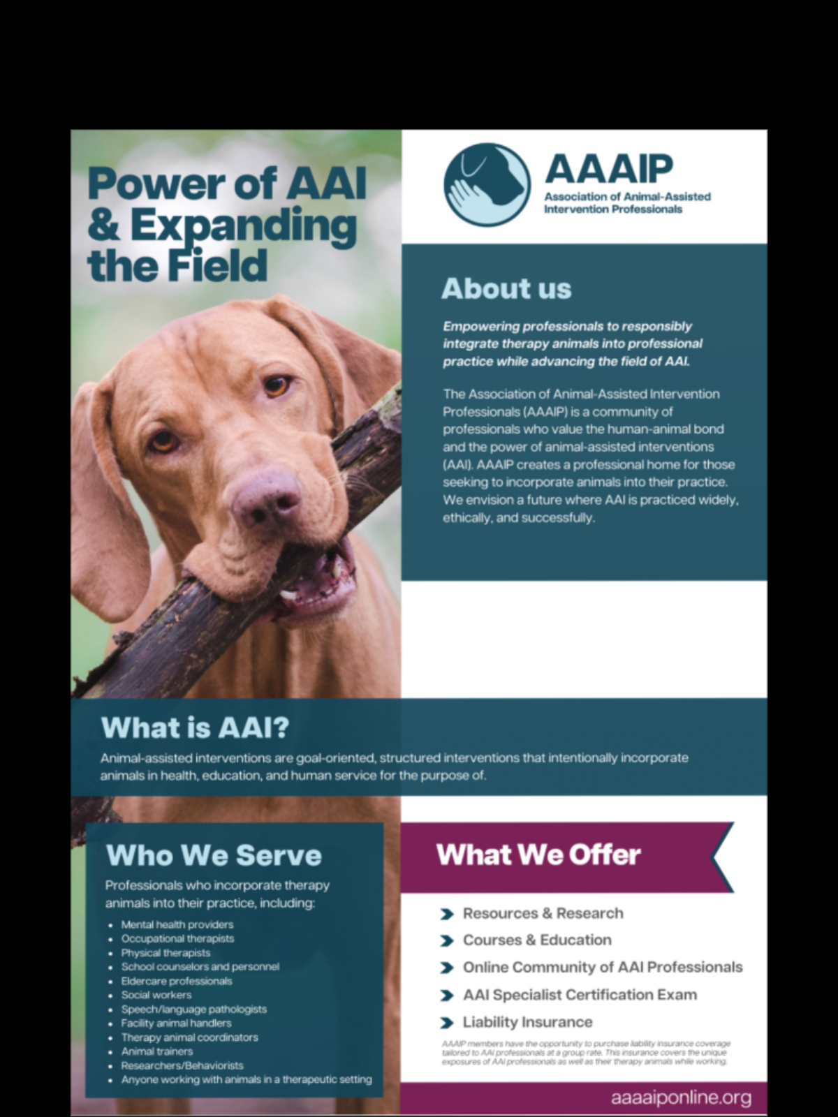 Information poster about the Association of Animal-Assisted Intervention Professionals (AAAI p) featuring a dog carrying a stick in its mouth, with sections on the organization's mission, services, and offerings.