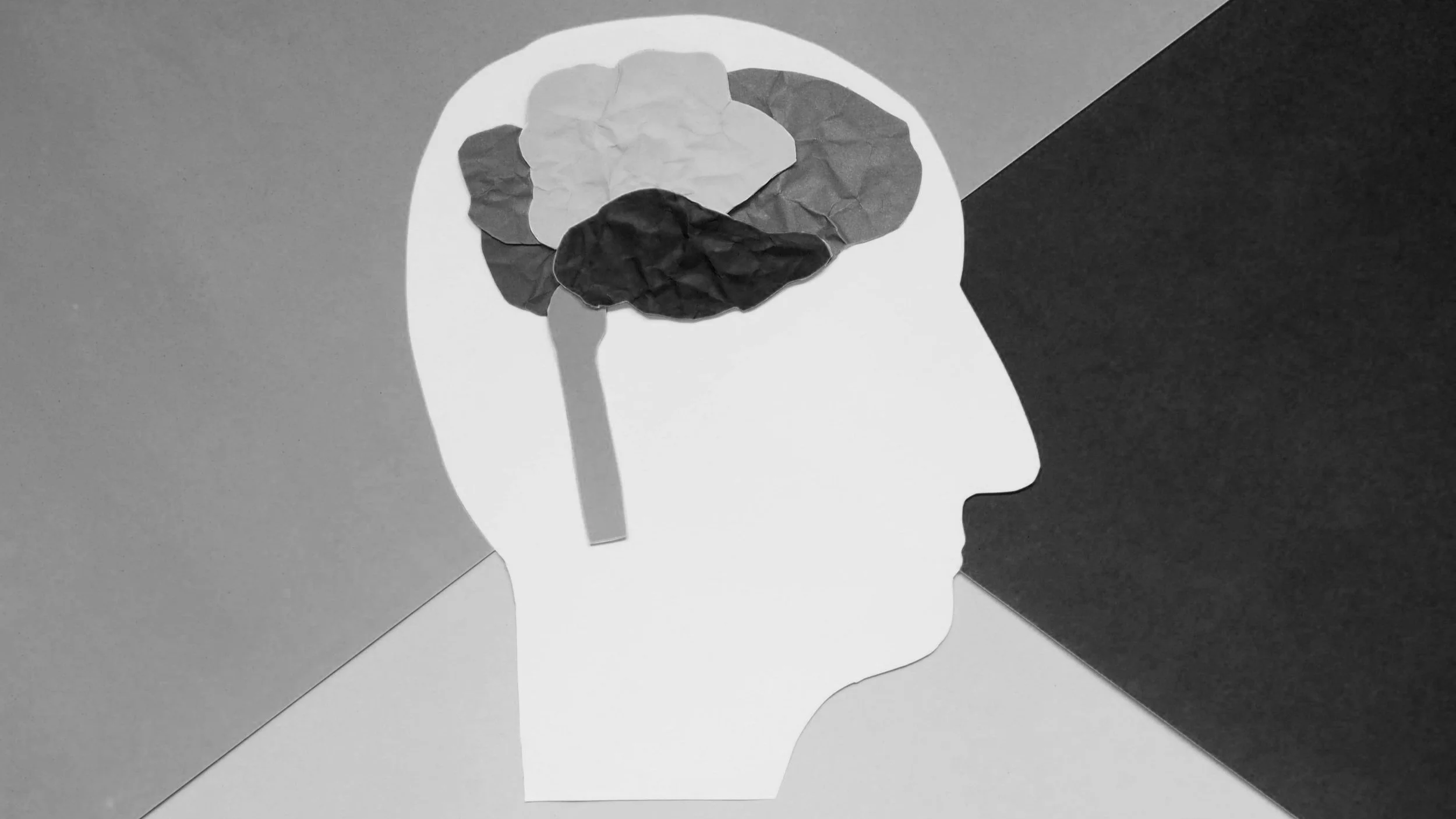 Image of face cut into paper with additional element of paper that is also cut into paper shapes as the brain.
