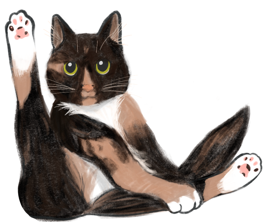 Illustration of a calico cat mid bath with her hind leg in the air.