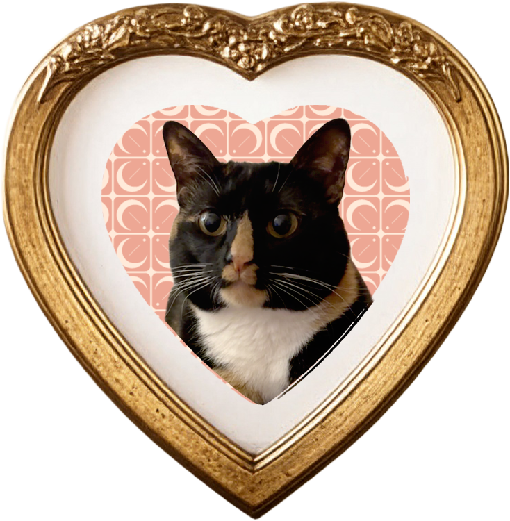 Portrait of a calico cat in gold heart shaped frame