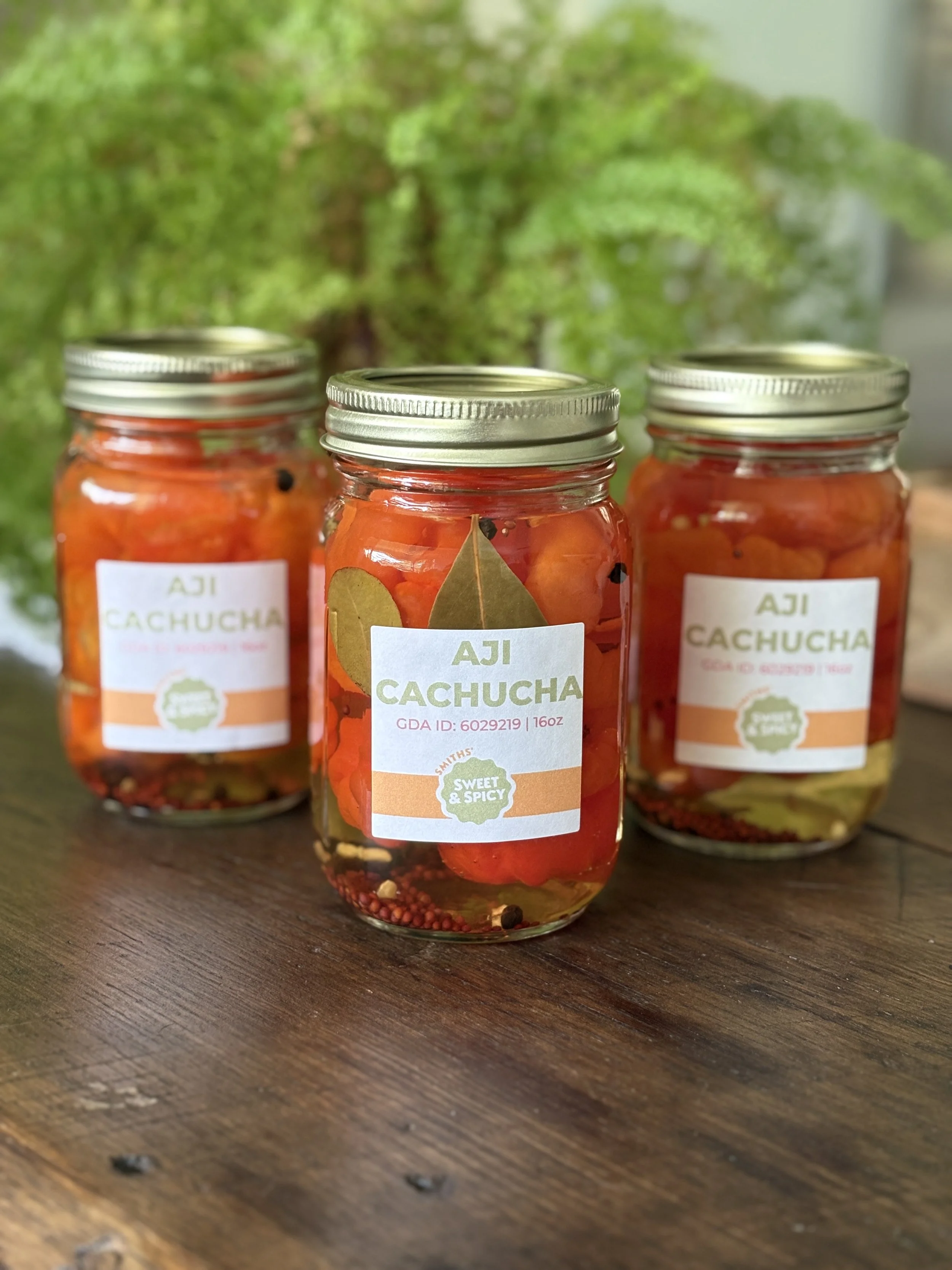 Aji Cachucha Peppers (16oz)