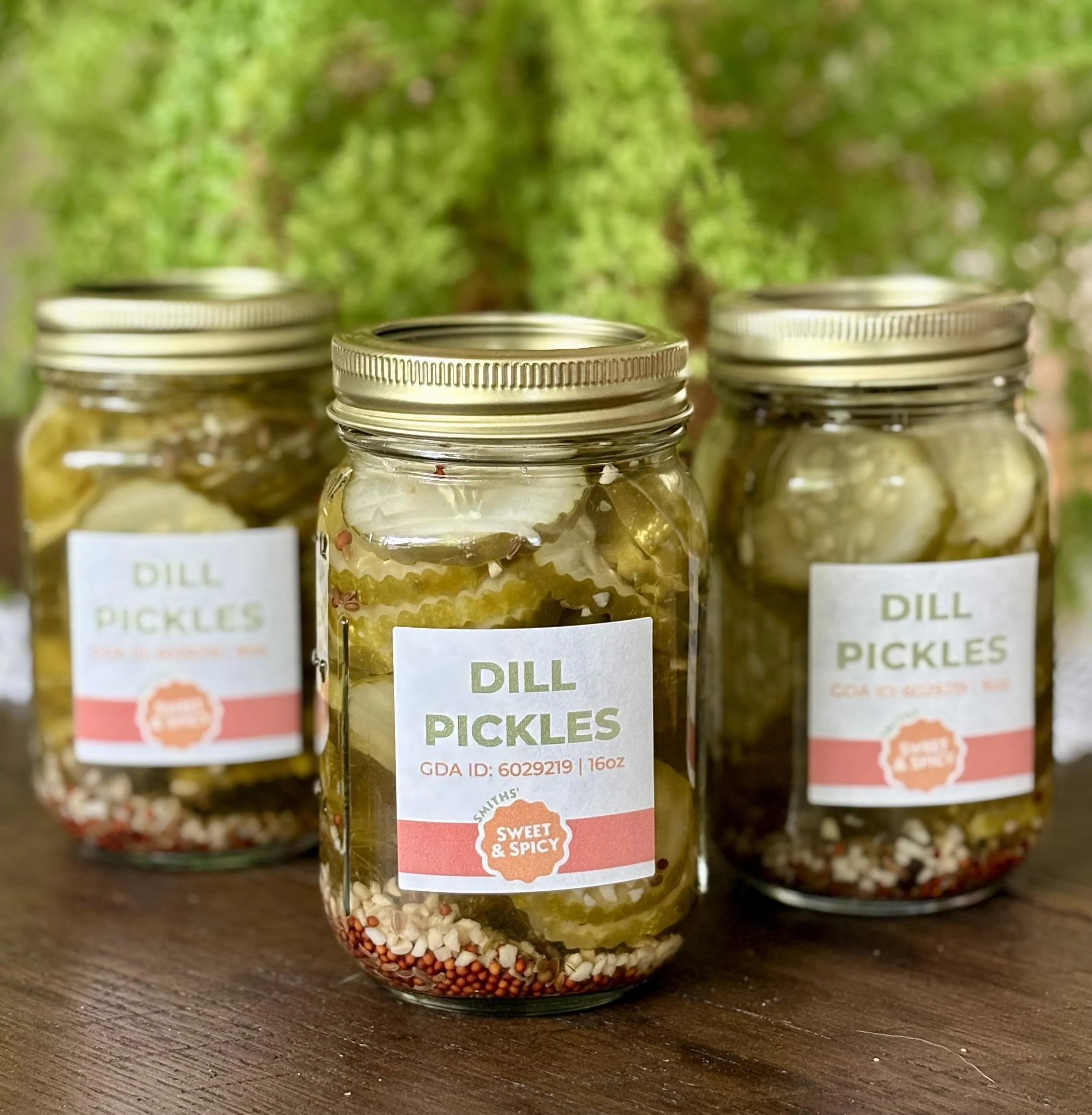 Dill Pickles NEW.jpeg