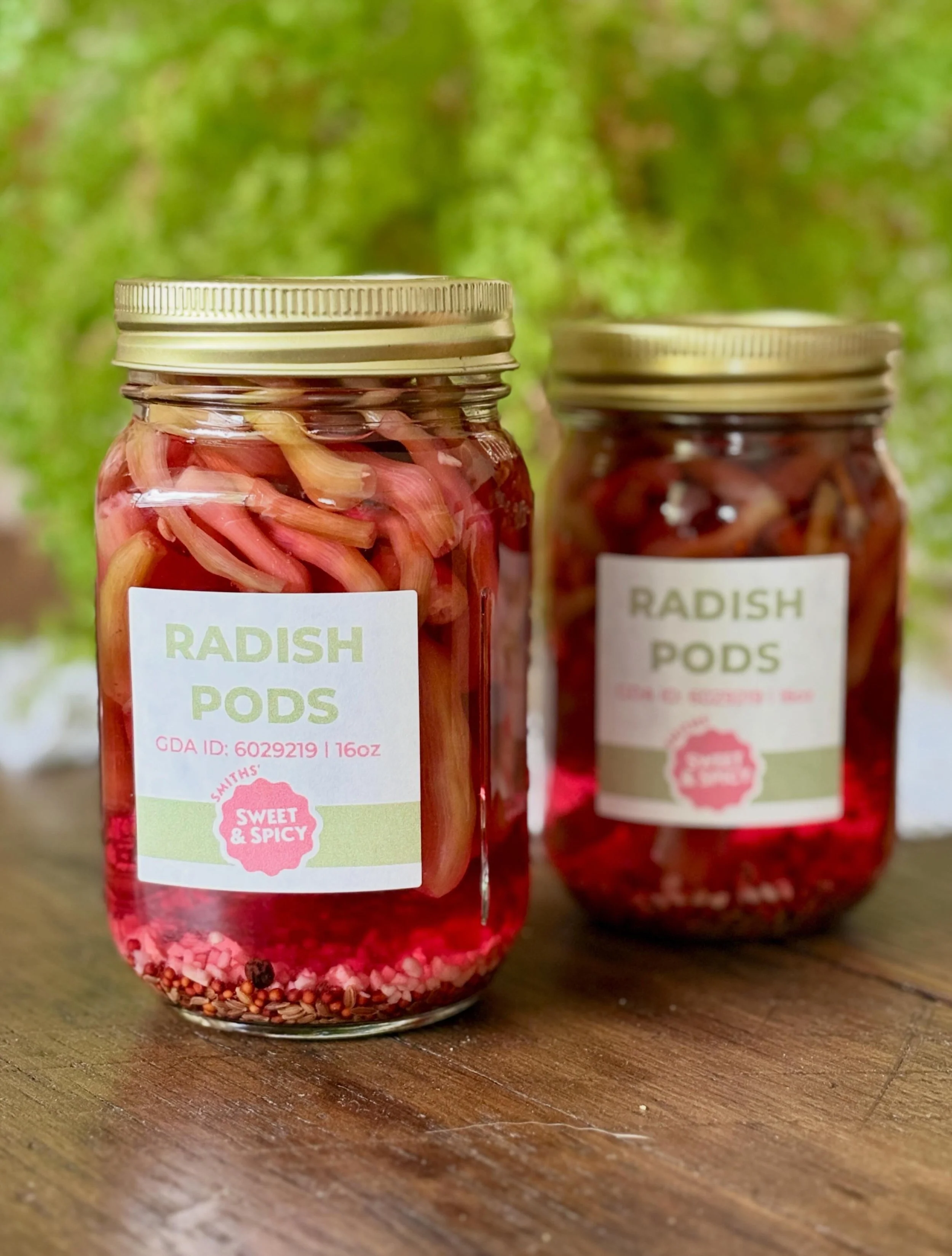 Radish Pods.jpg