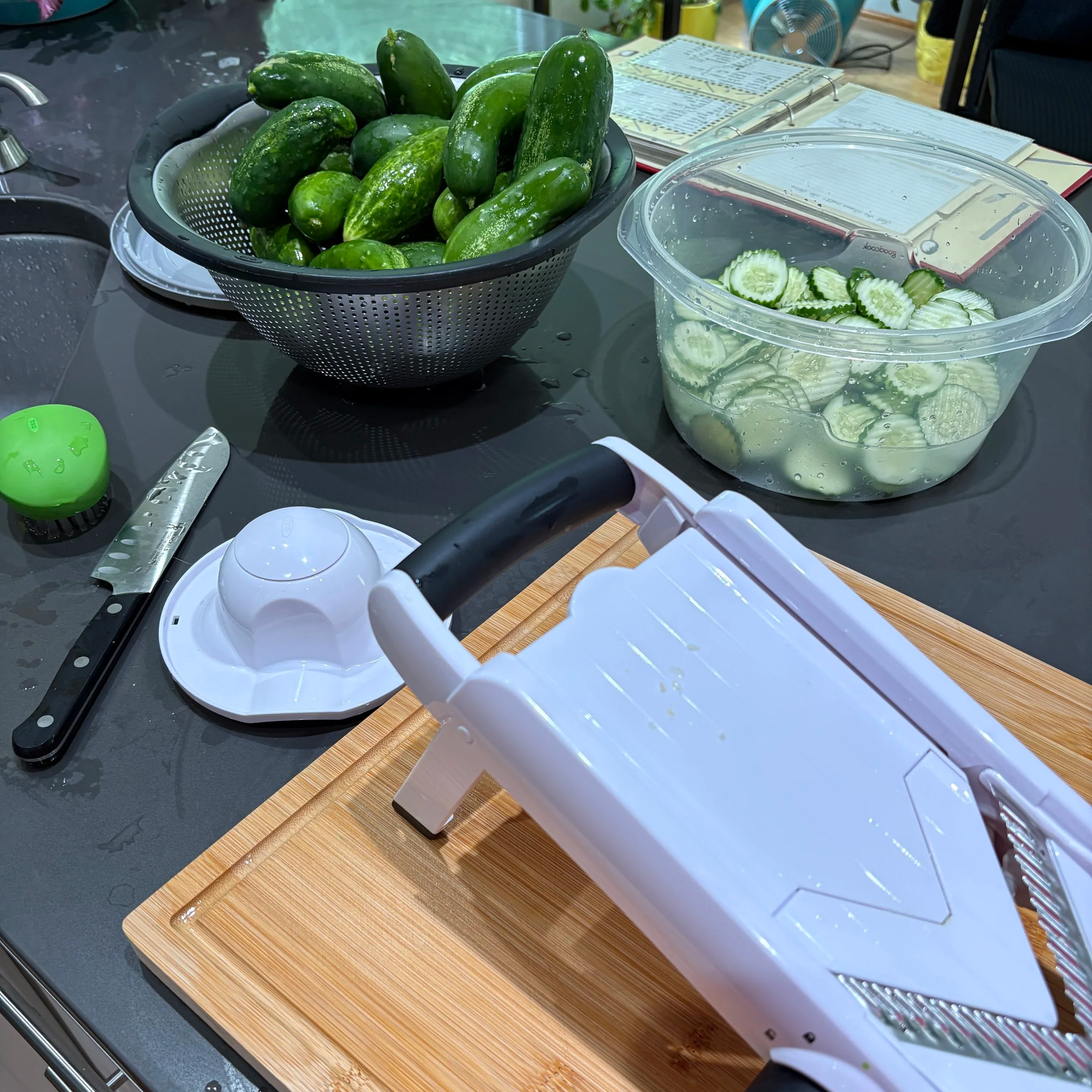 Getting ready to make homemade dill pickles!