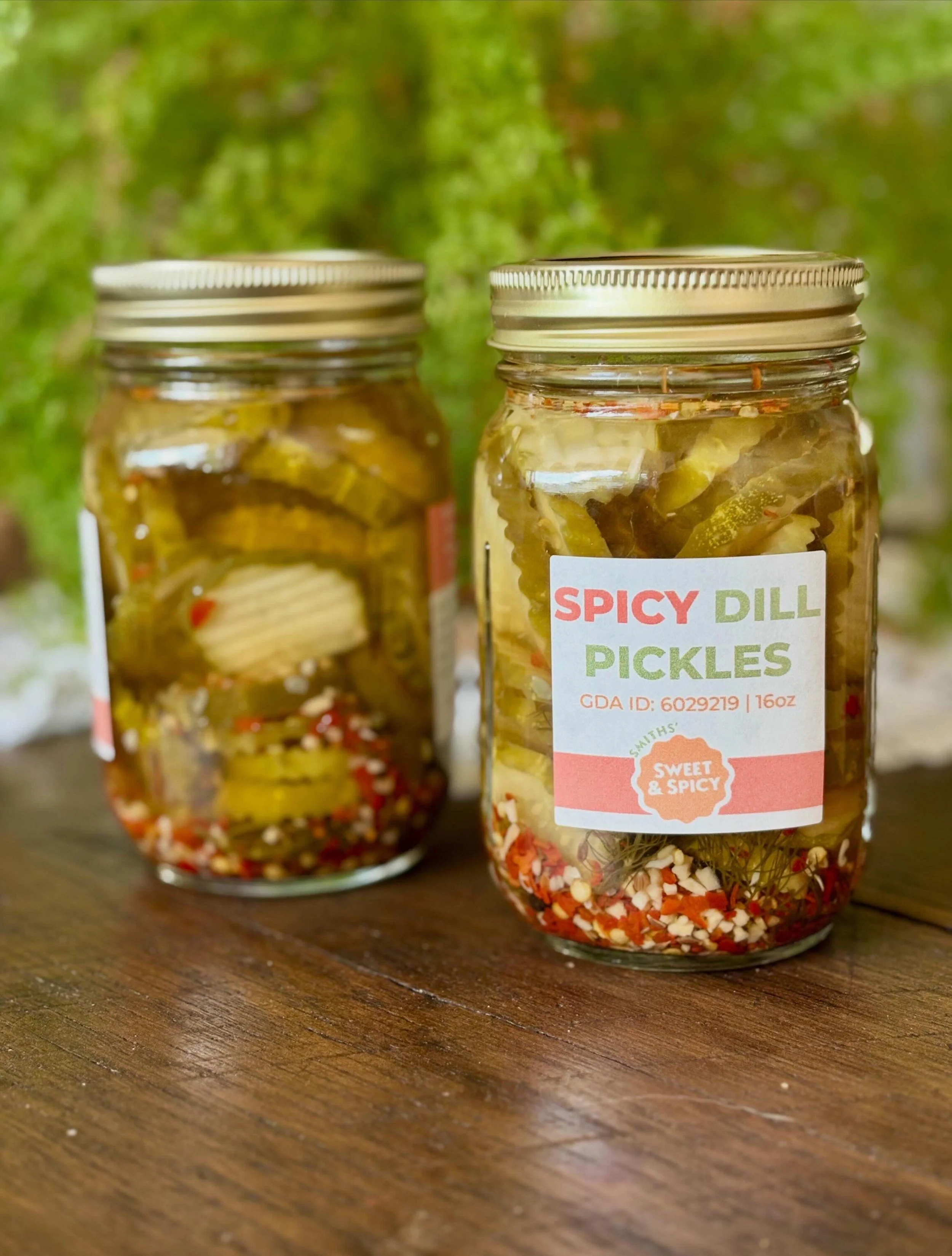 Spicy Dill Pickles (16 oz)
