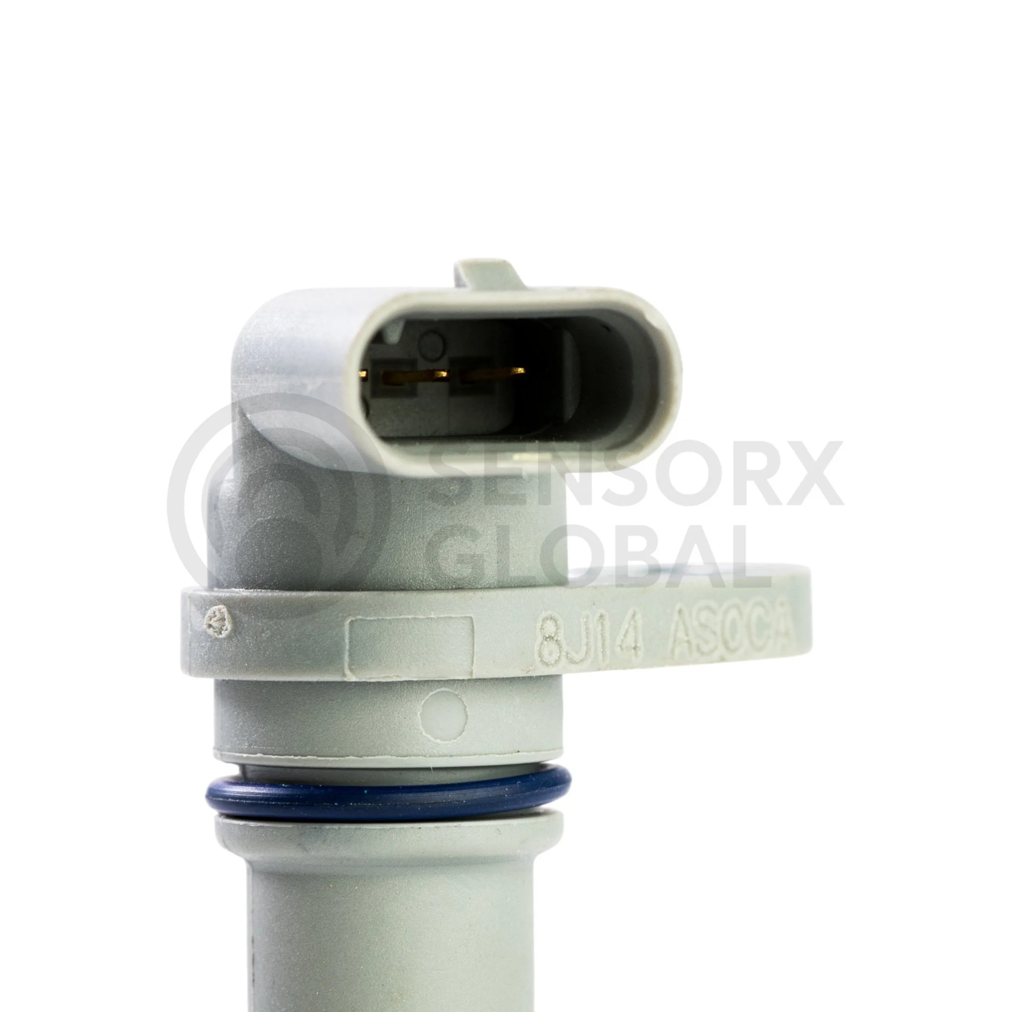 AEP_SECR17 (1)-Photoroom.jpg