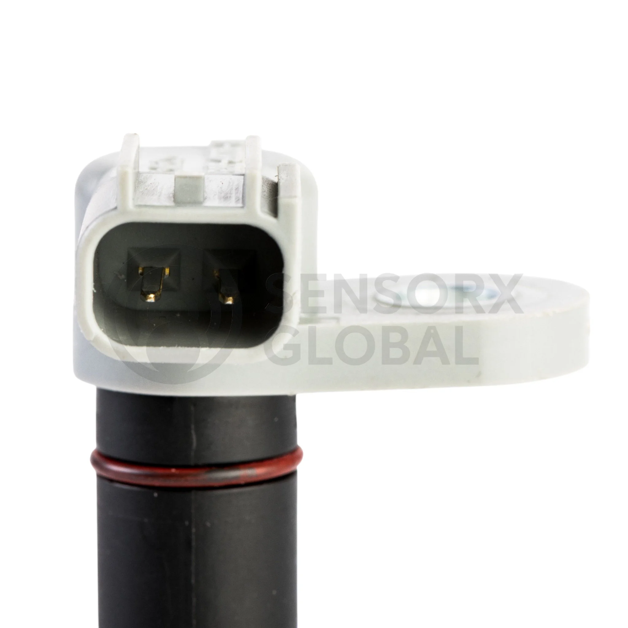 AEP_SECAM8 (3)-Photoroom.jpg