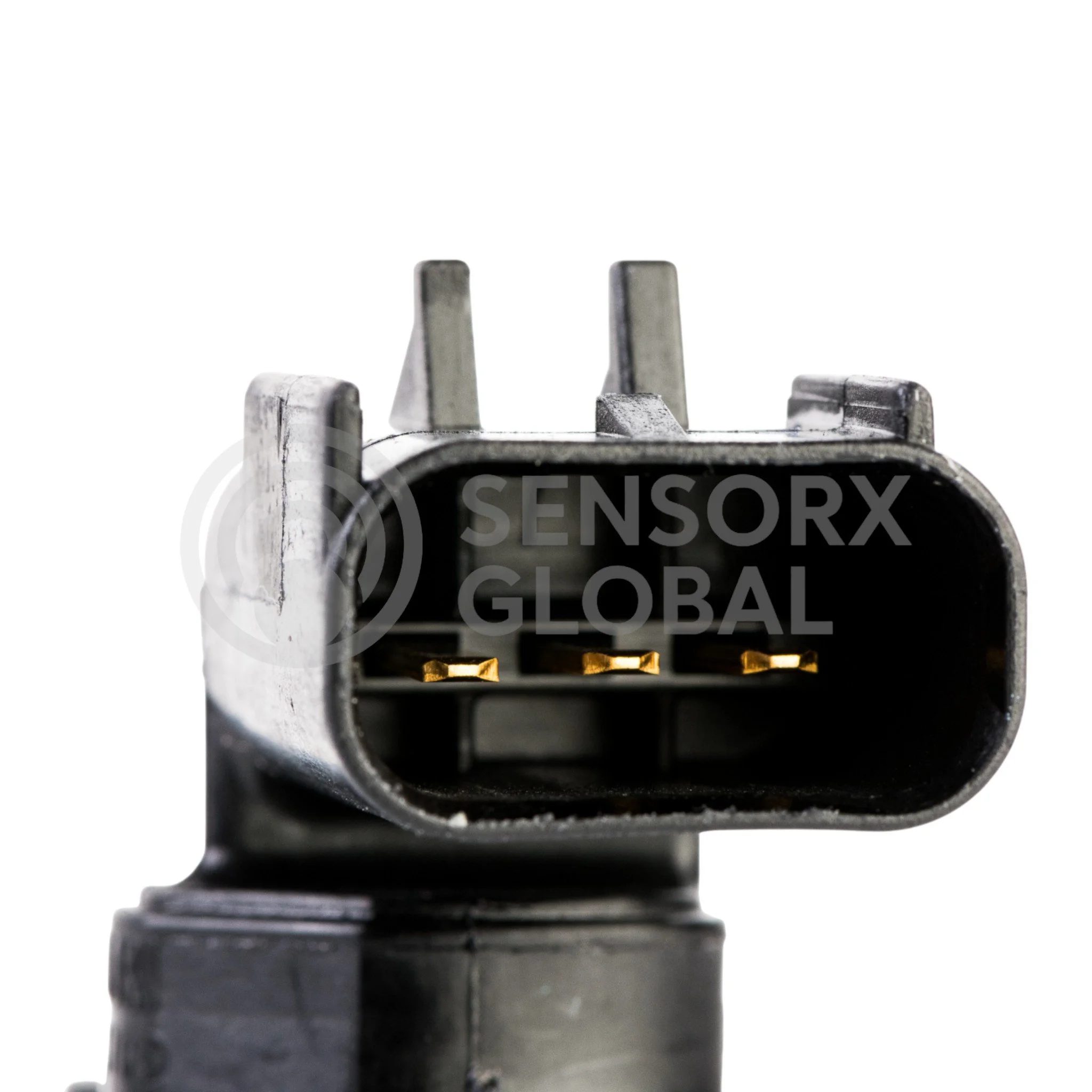 AEP_SECAM20 (3)-Photoroom.jpg