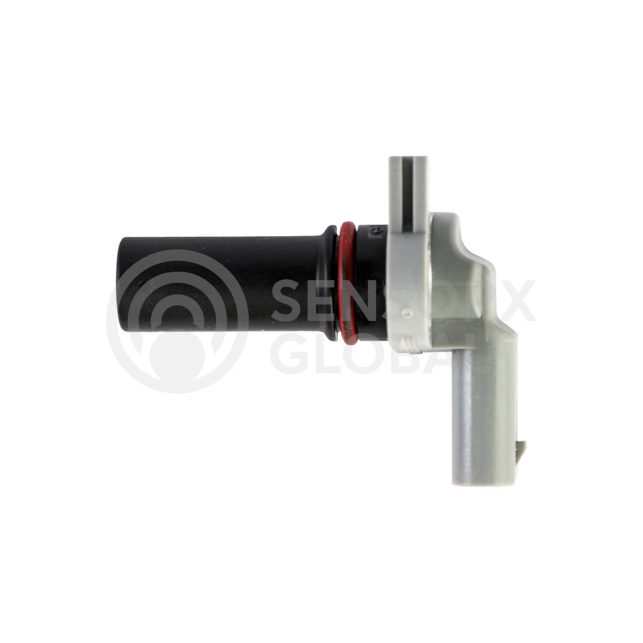 AEP_SECAM5 (3)-Photoroom.jpg