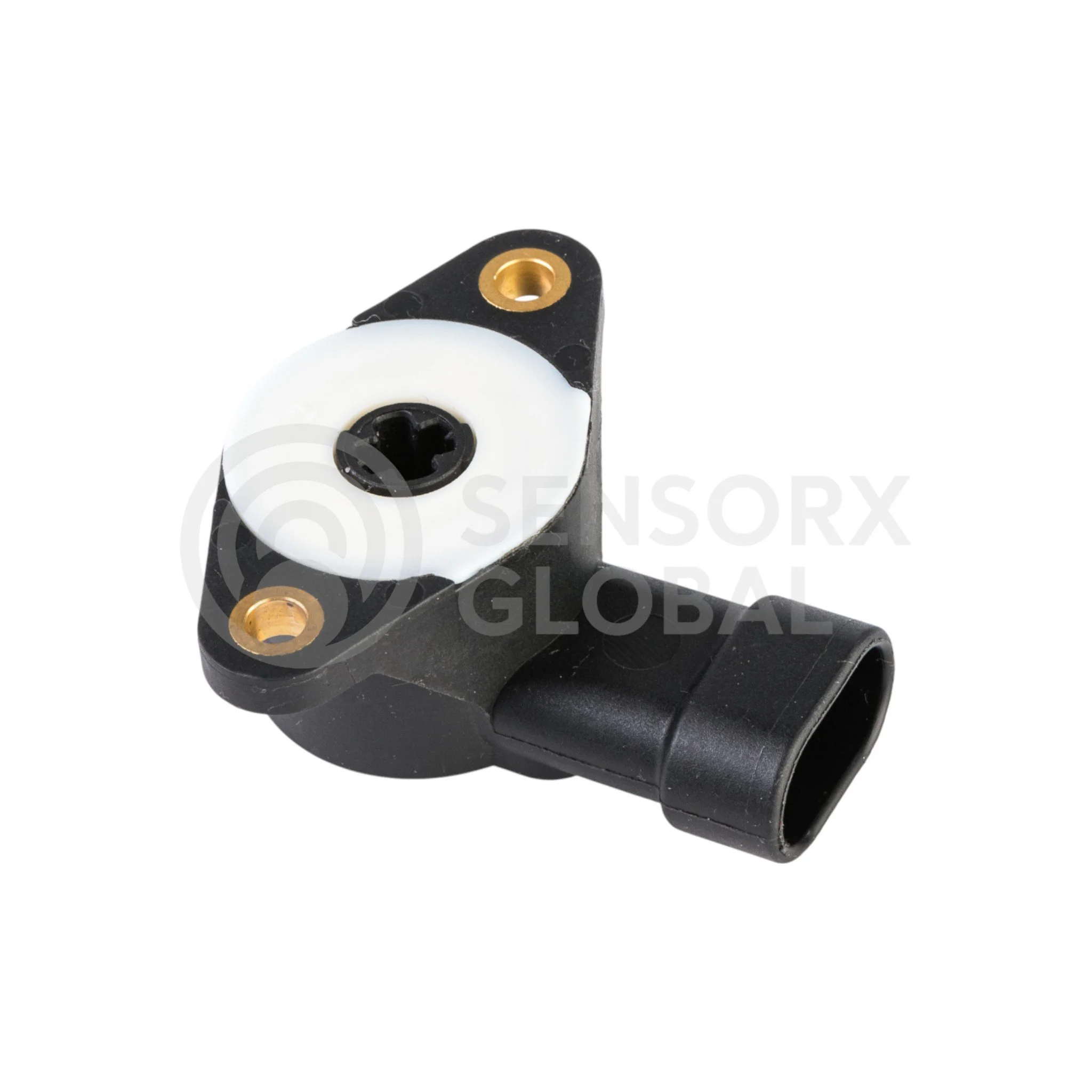 AEP_SETPS1 (1)-Photoroom.jpg