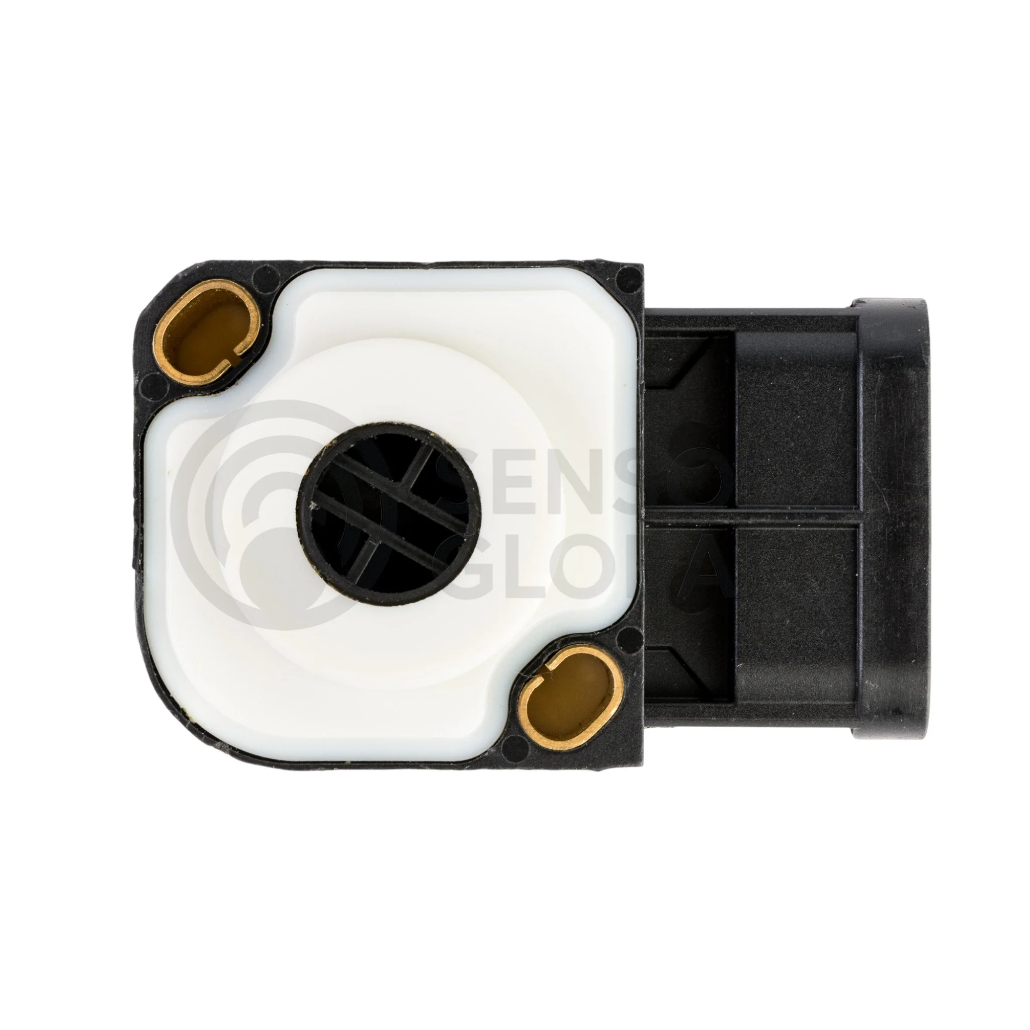 AEP_SEPPS1 (3)-Photoroom.jpg