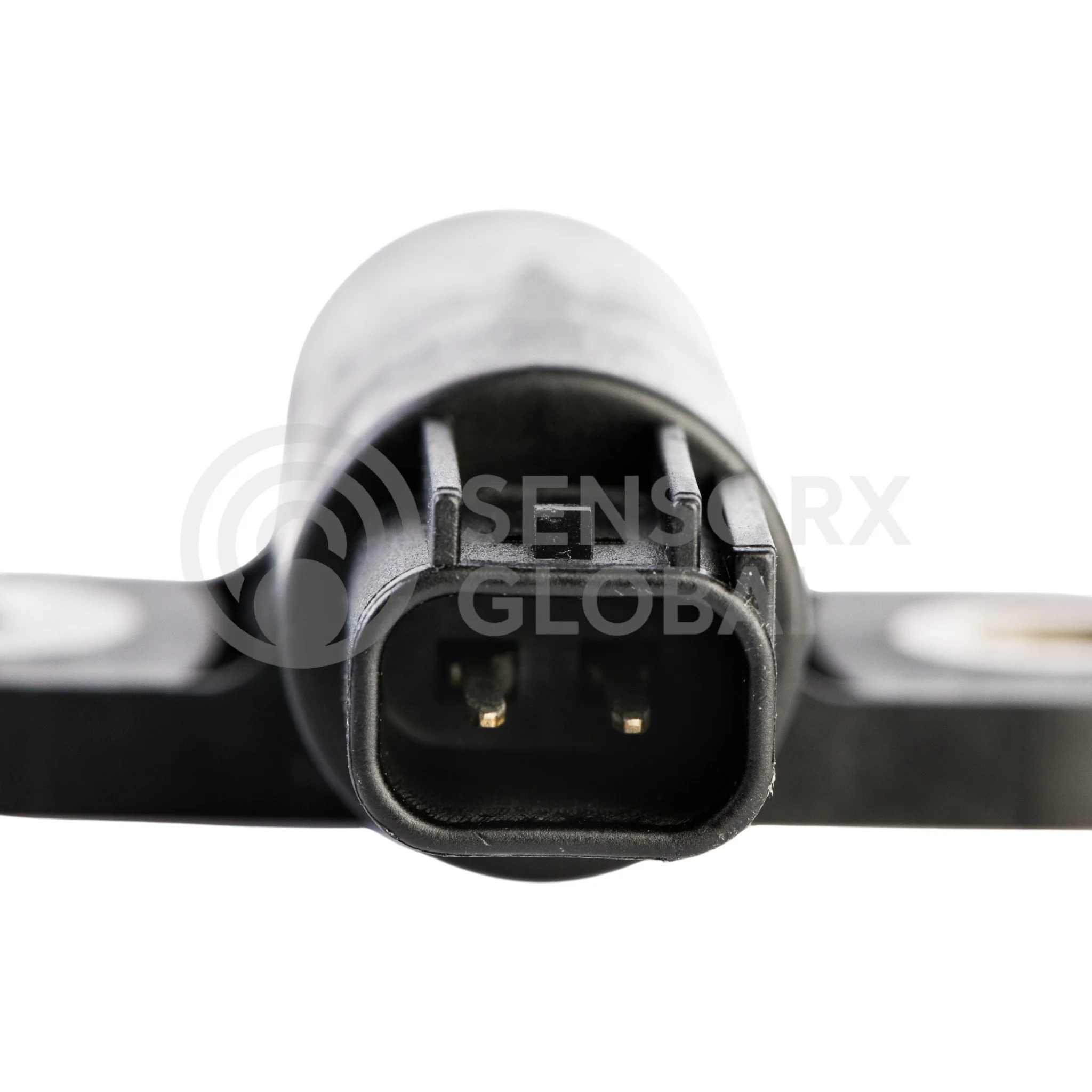 AEP_SECAM25 (3)-Photoroom.jpg