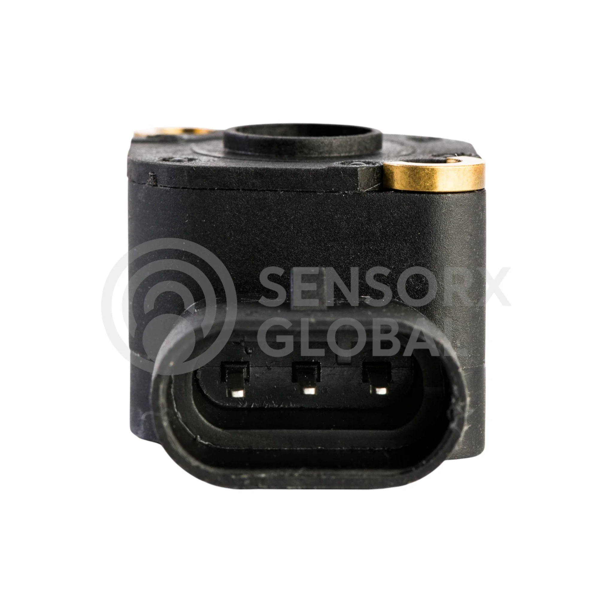 AEP_SEPOT2 (3)-Photoroom.jpg