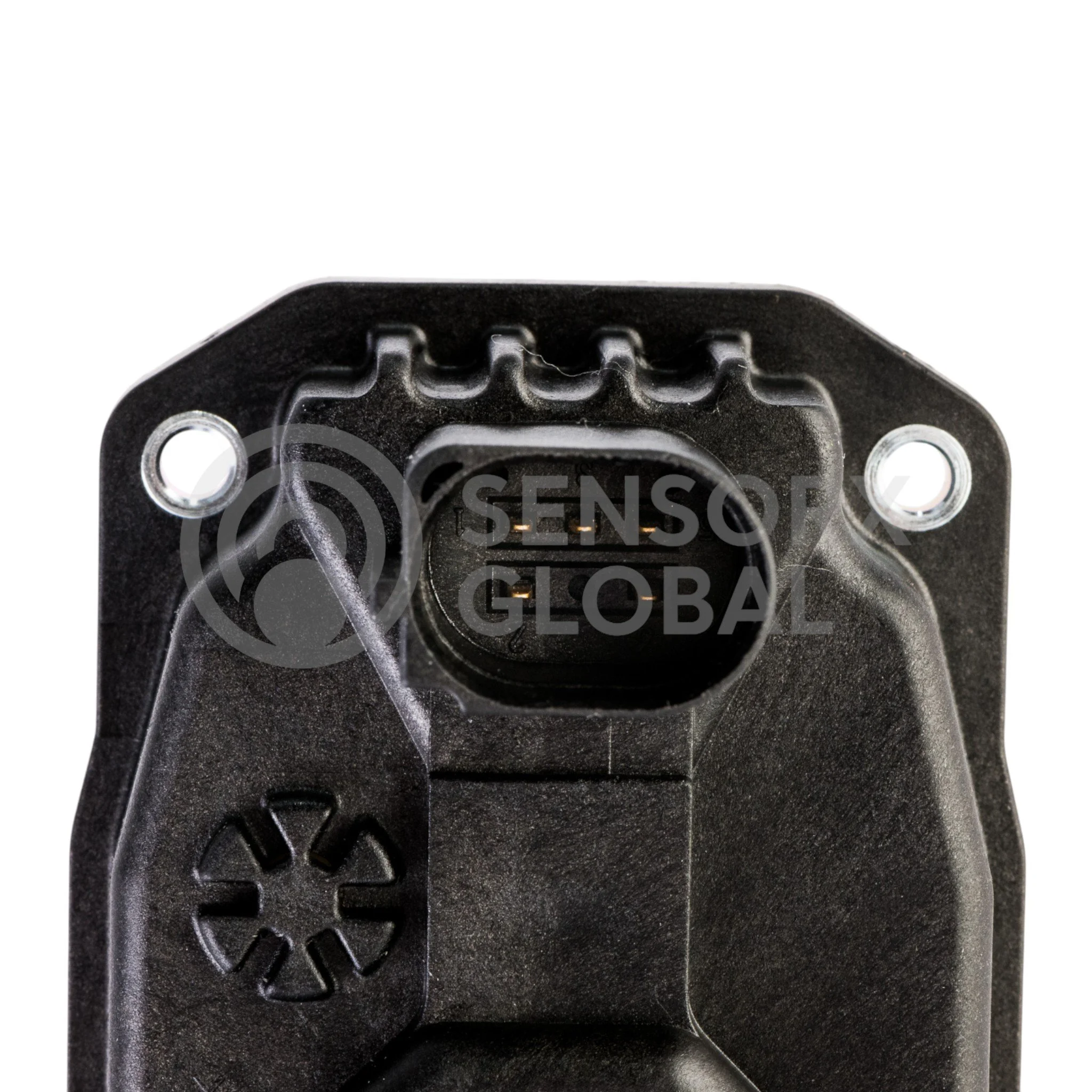 AEP_SEEGR2 (3)-Photoroom.jpg