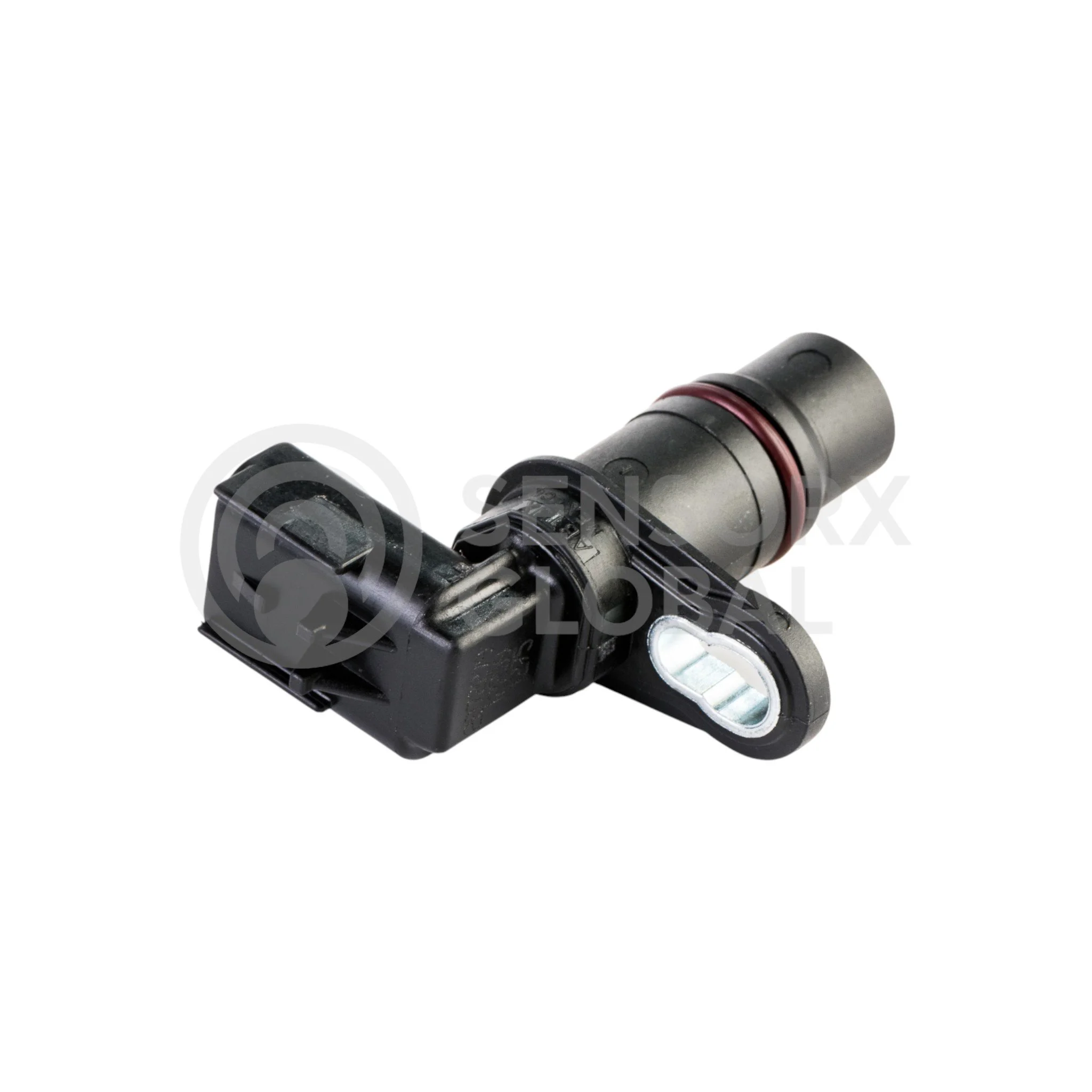 AEP_SECAM20 (2)-Photoroom.jpg