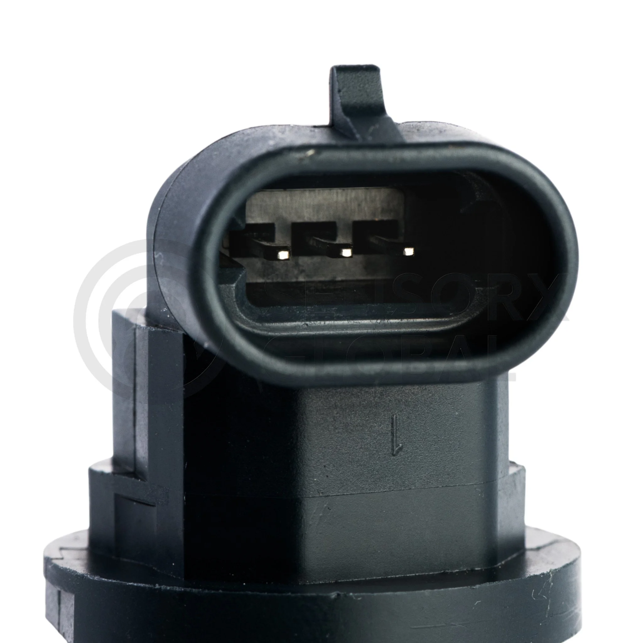 AEP_SECAM34 (3)-Photoroom.jpg