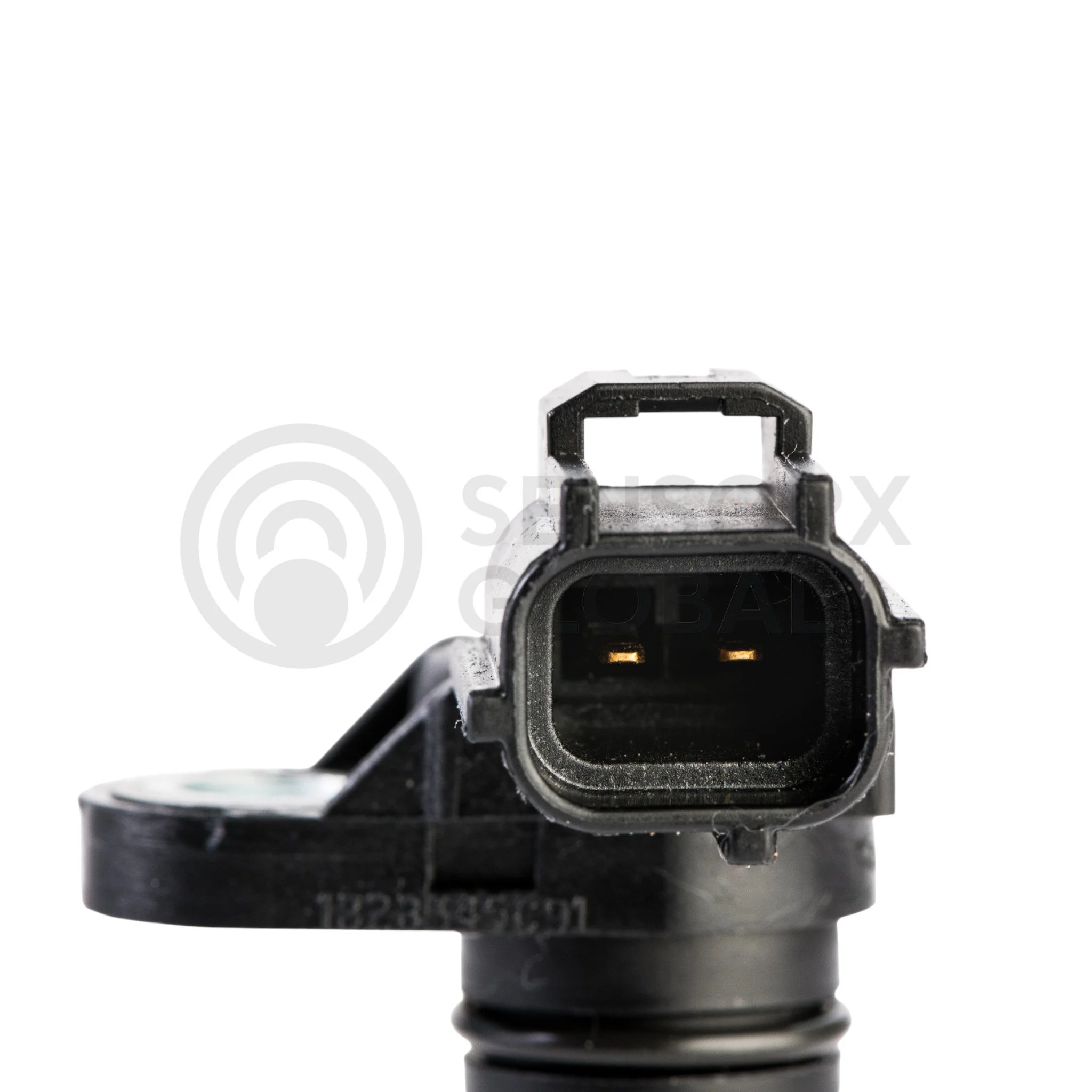 AEP_SECAM37 (2)-Photoroom.jpg