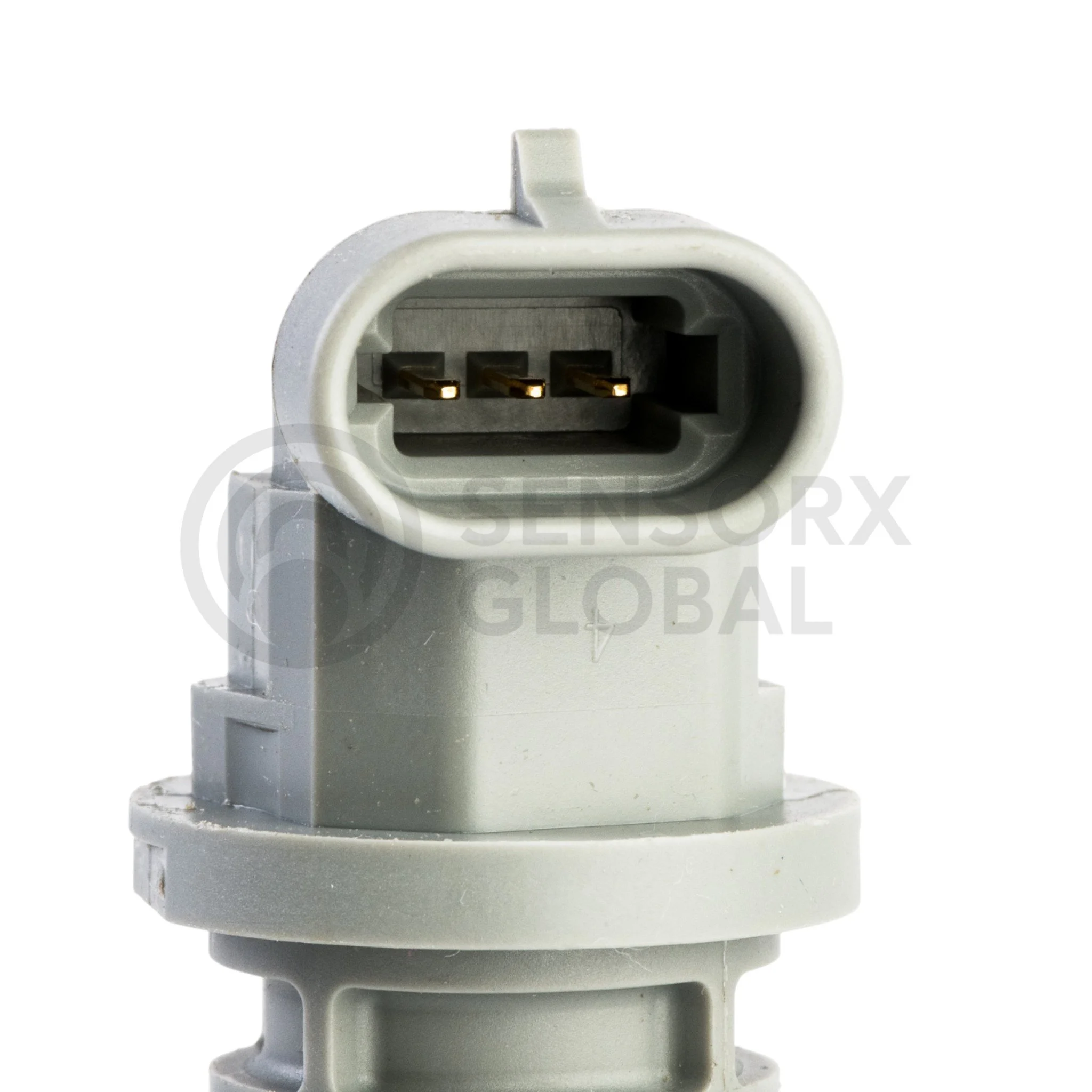 AEP_SECAM32 (1)-Photoroom.jpg