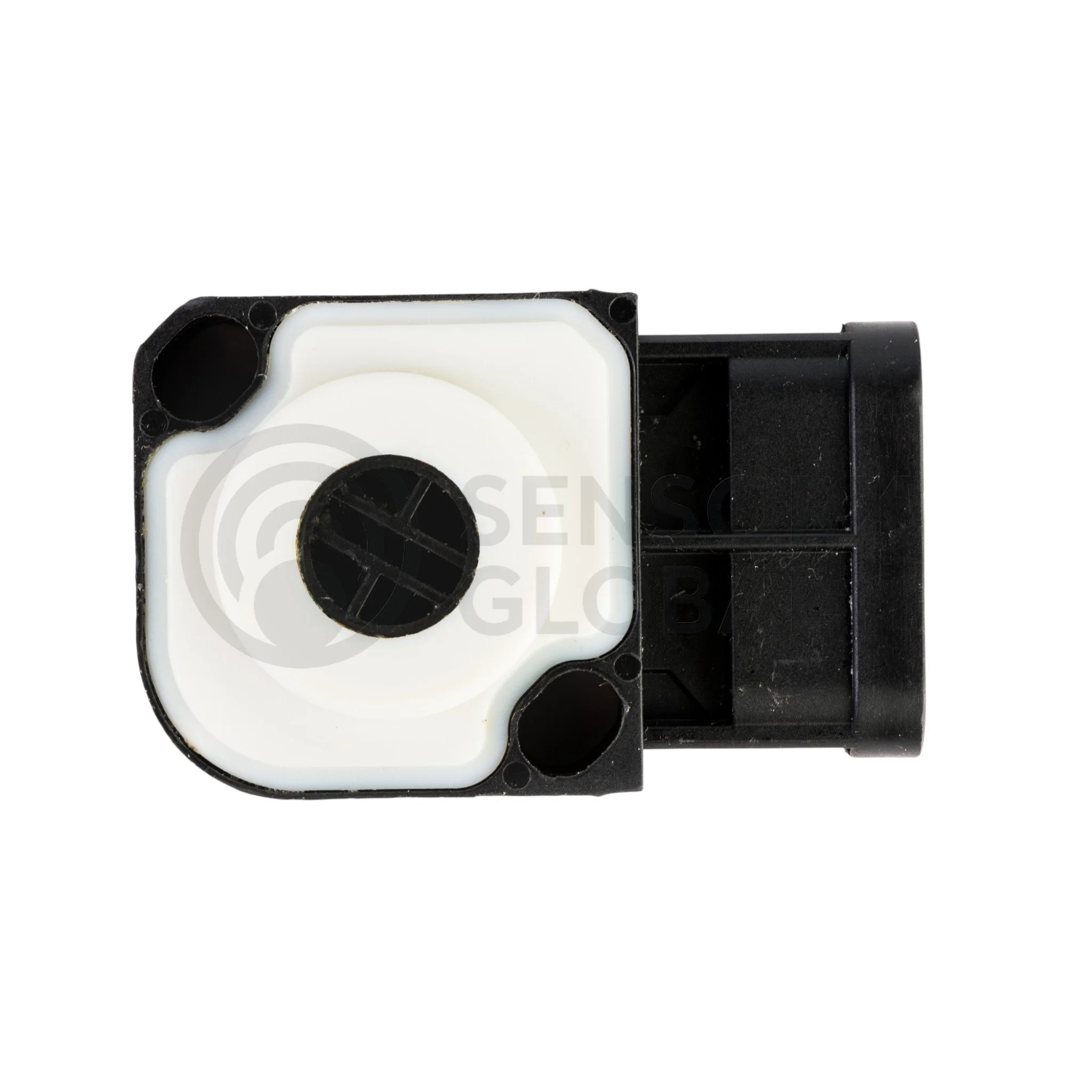 AEP_SEPPS2 (1)-Photoroom.jpg