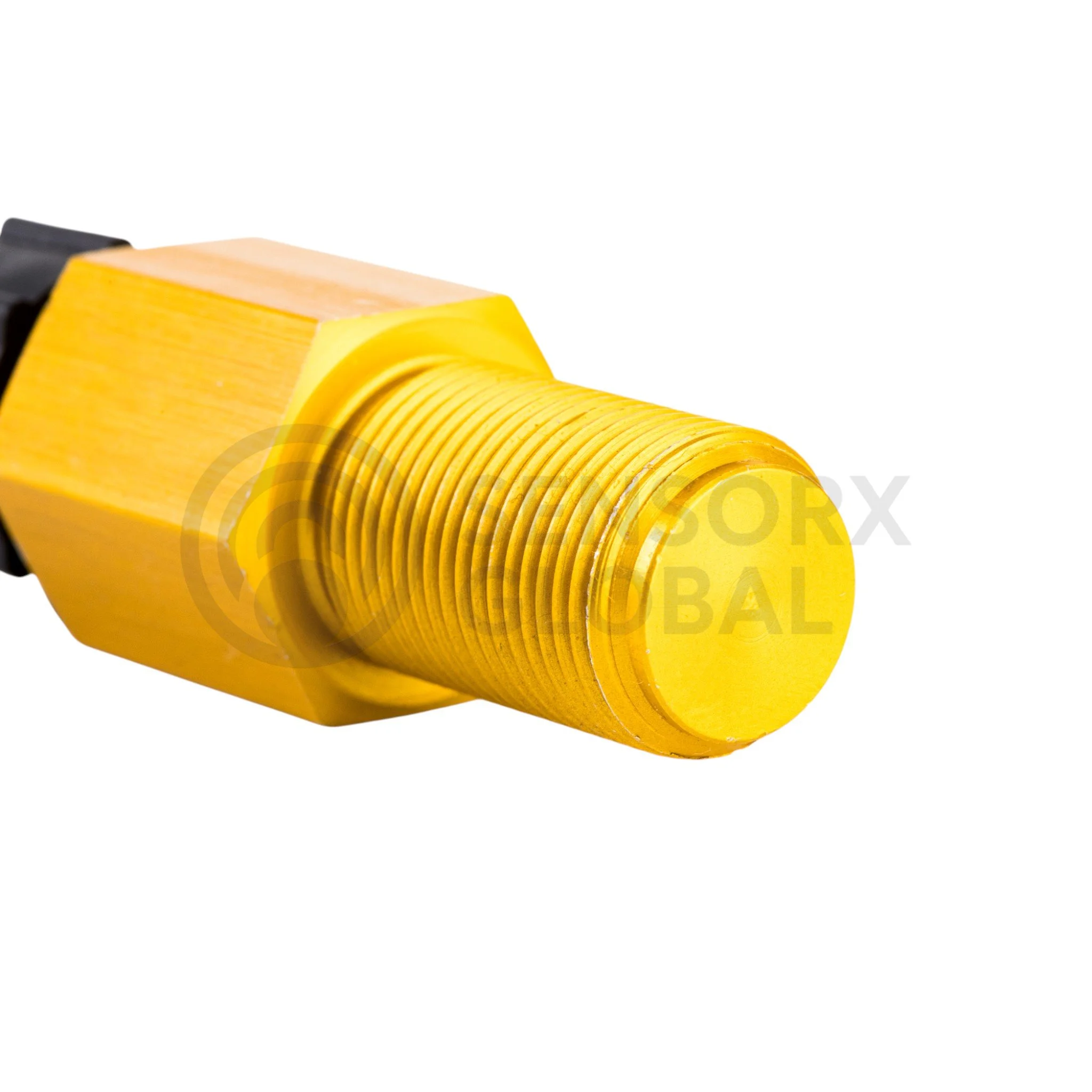 AEP_SESS6 (2)-Photoroom.jpg