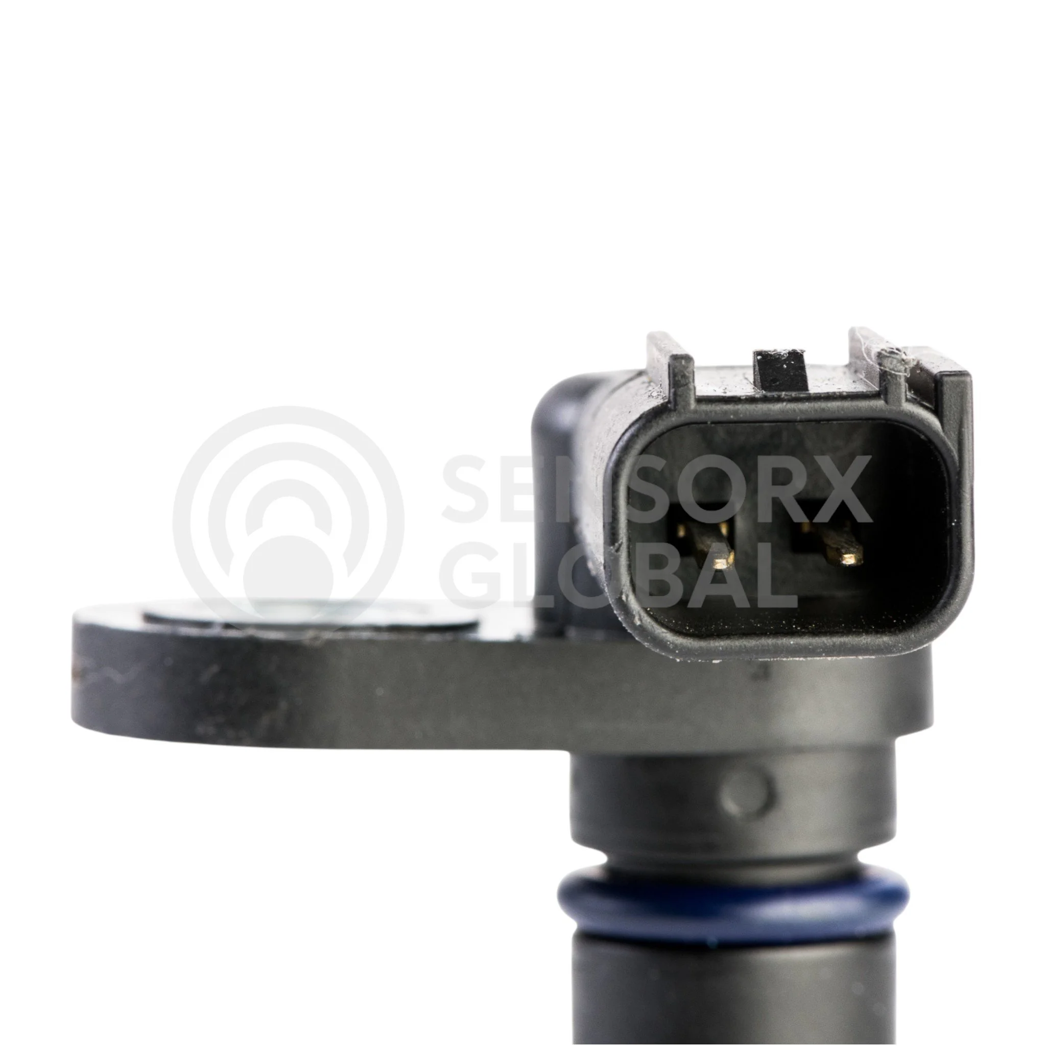 AEP_SECAM31 (3)-Photoroom.jpg