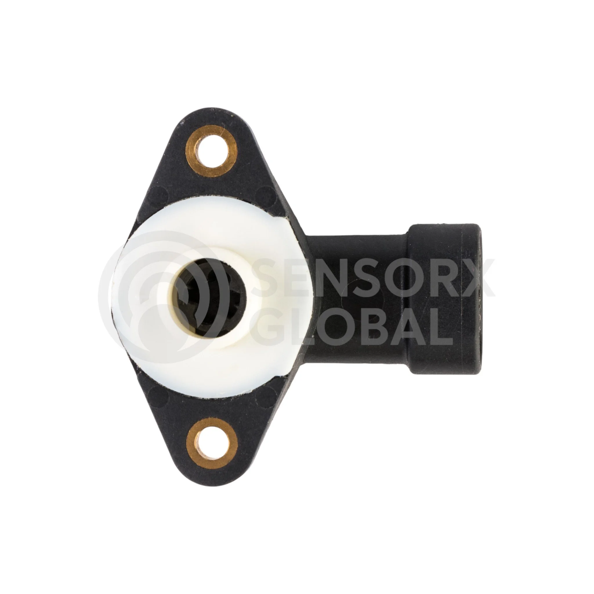 AEP_SETPS6 (1)-Photoroom.jpg