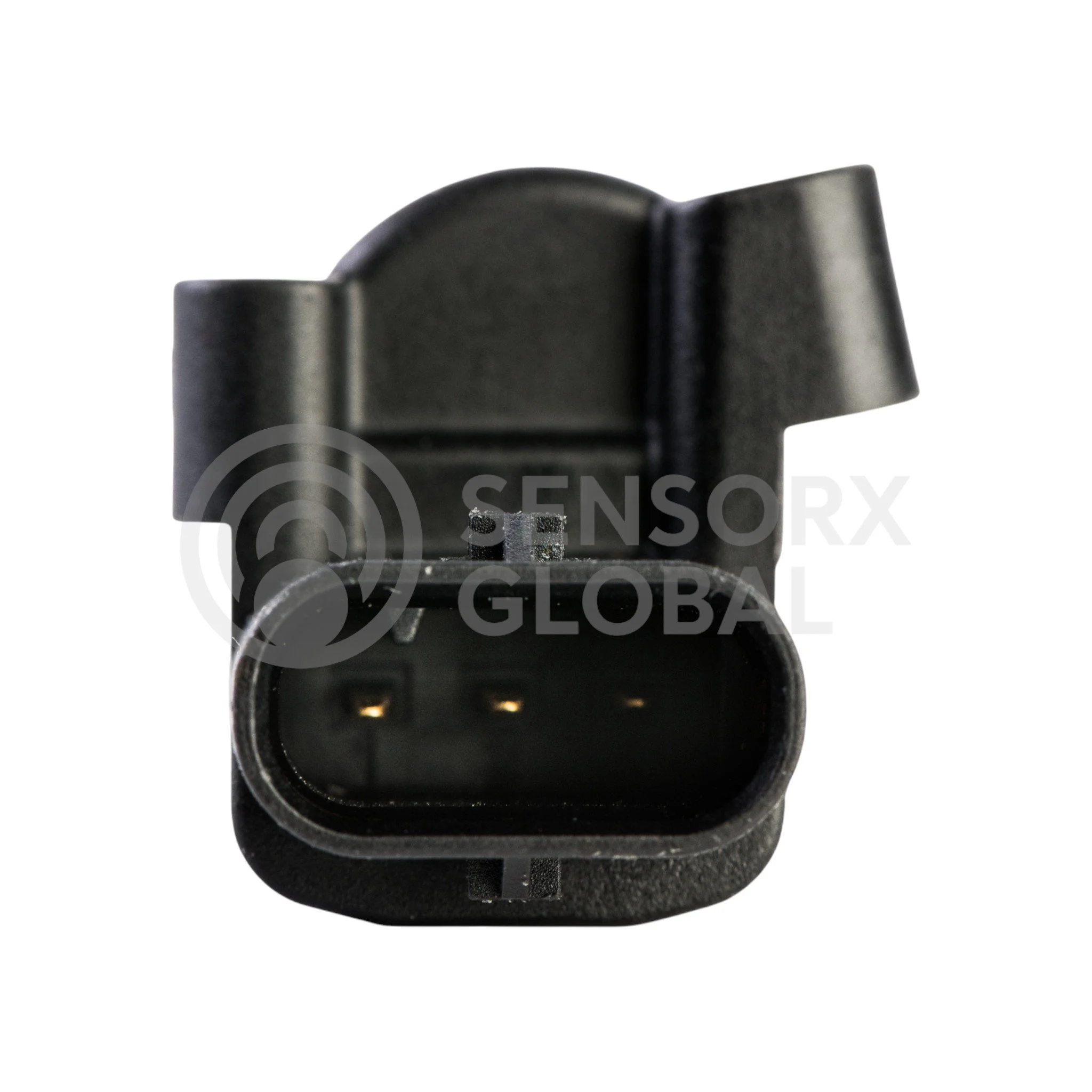 AEP_SERS2 (3)-Photoroom.jpg