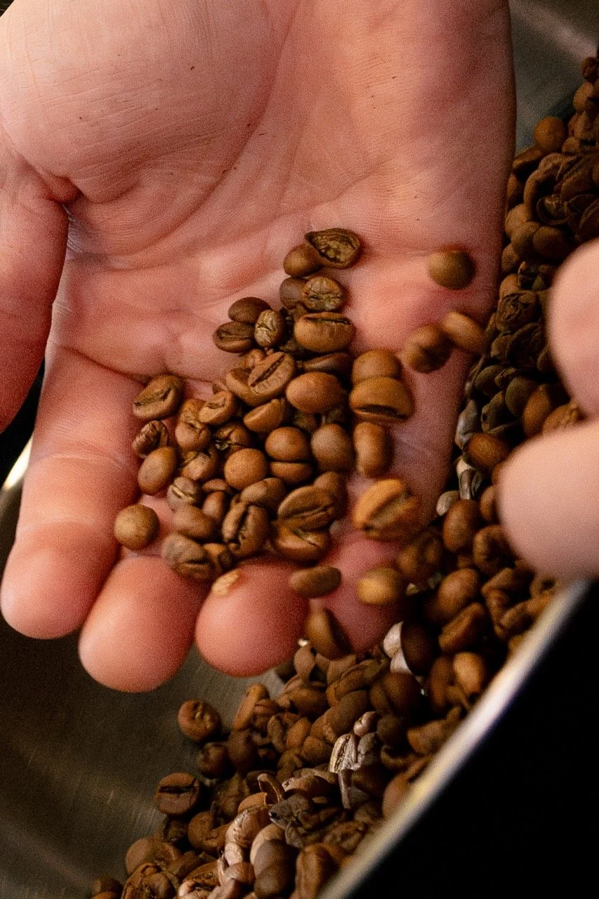 Close-up of a hand holding roasted coffee beans, surrounded by more coffee beans.