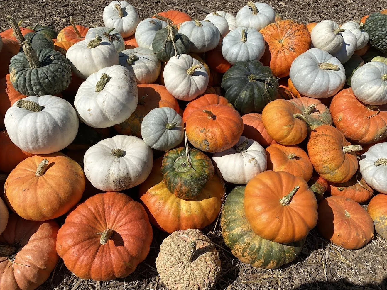 Varying Heirlooms