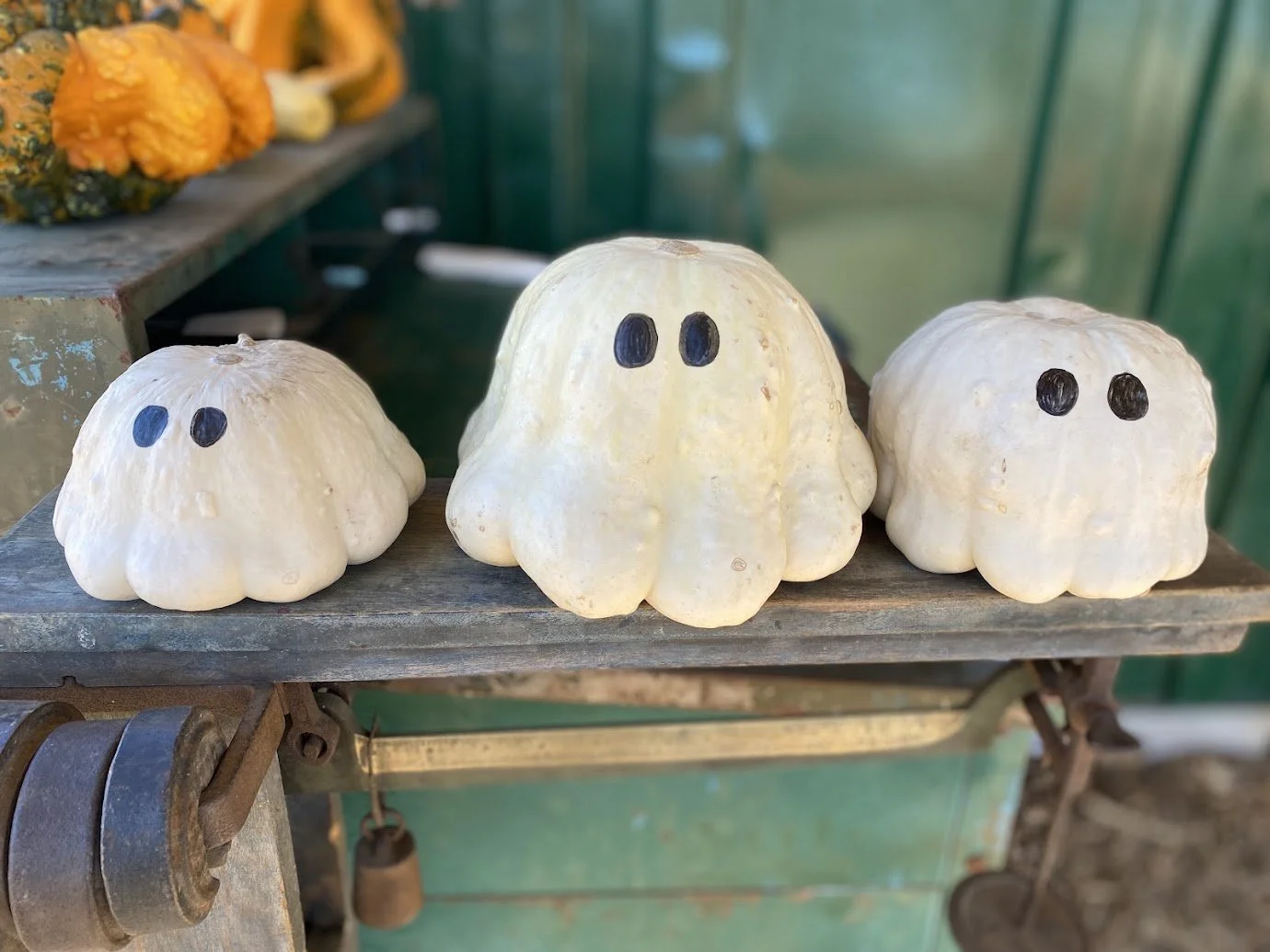 "Ghost Pumpkins" 
