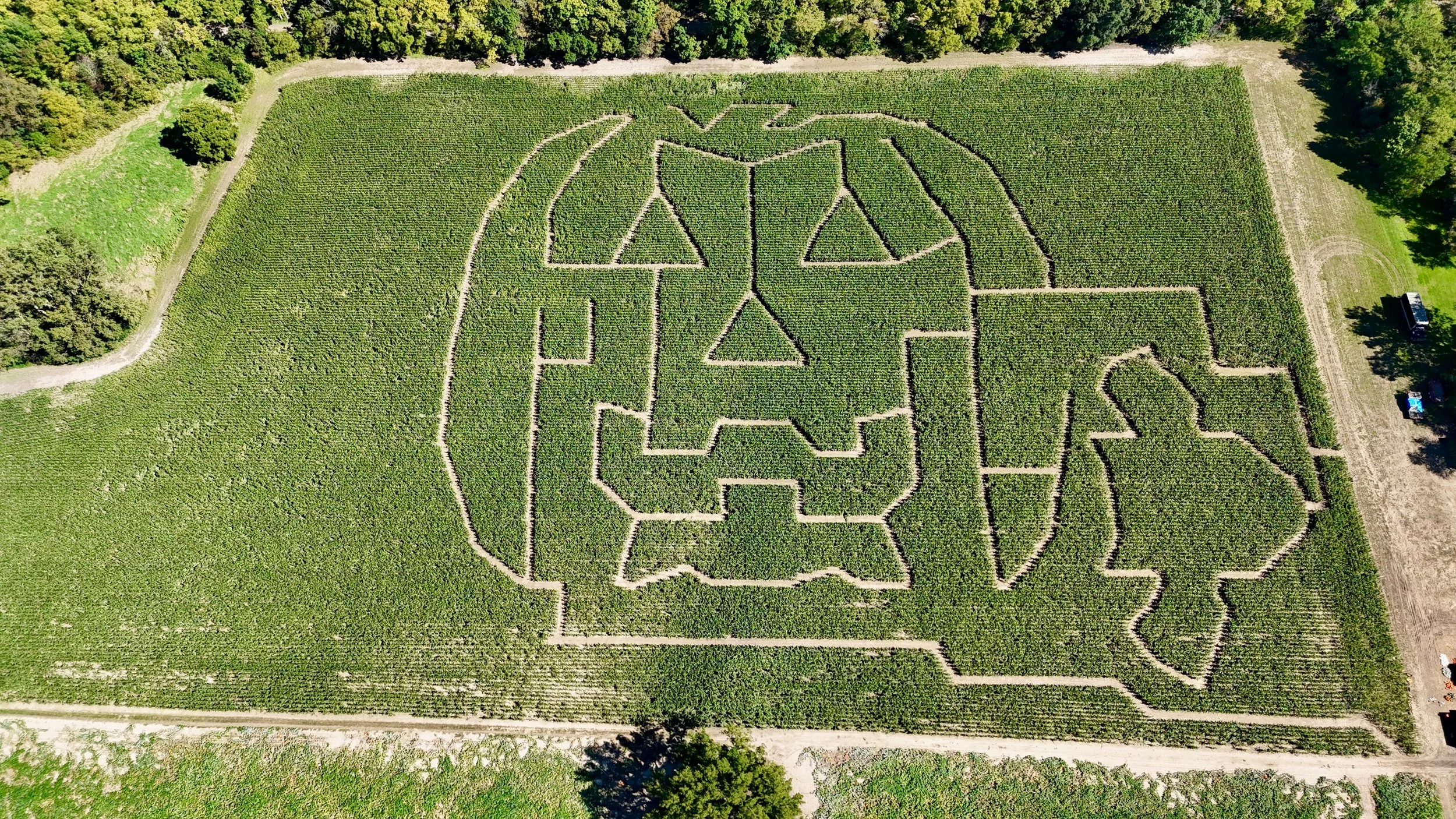 Cornmaze