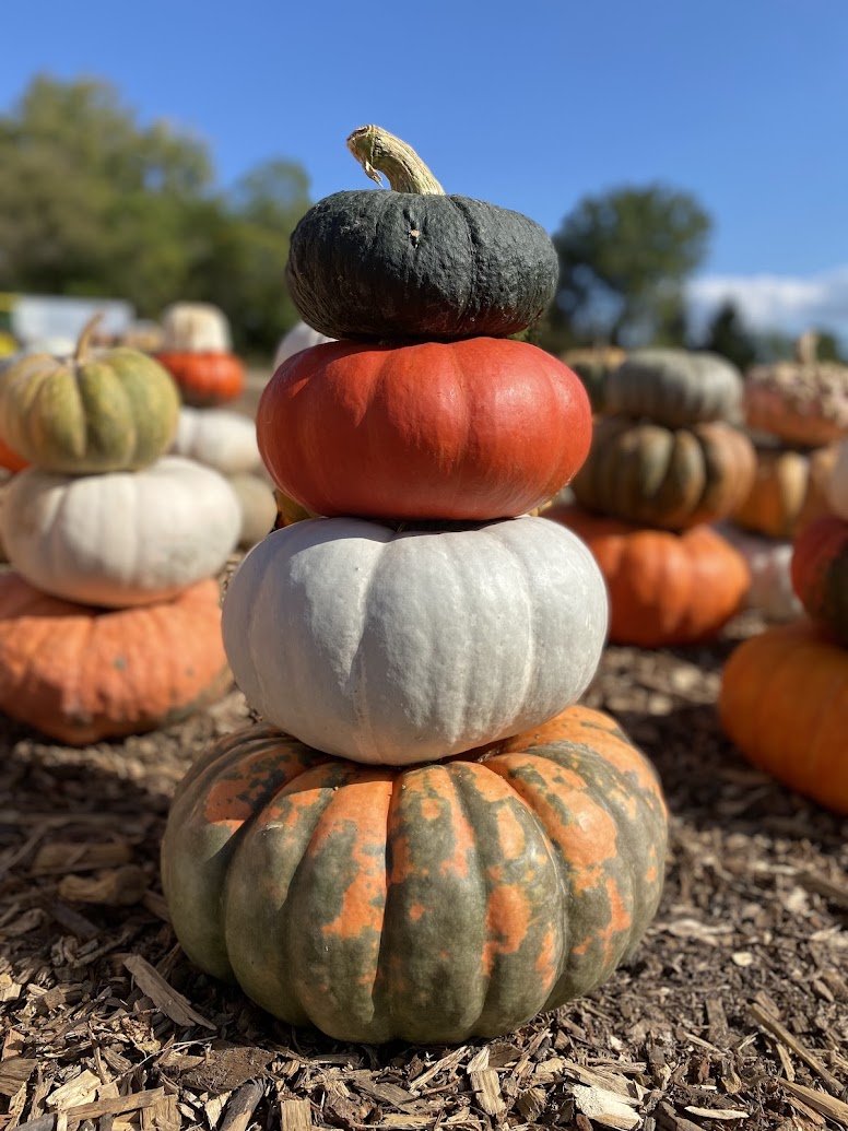 Stackable Heirlooms