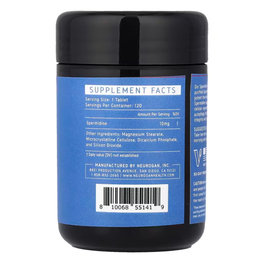 Spermidine 2.png